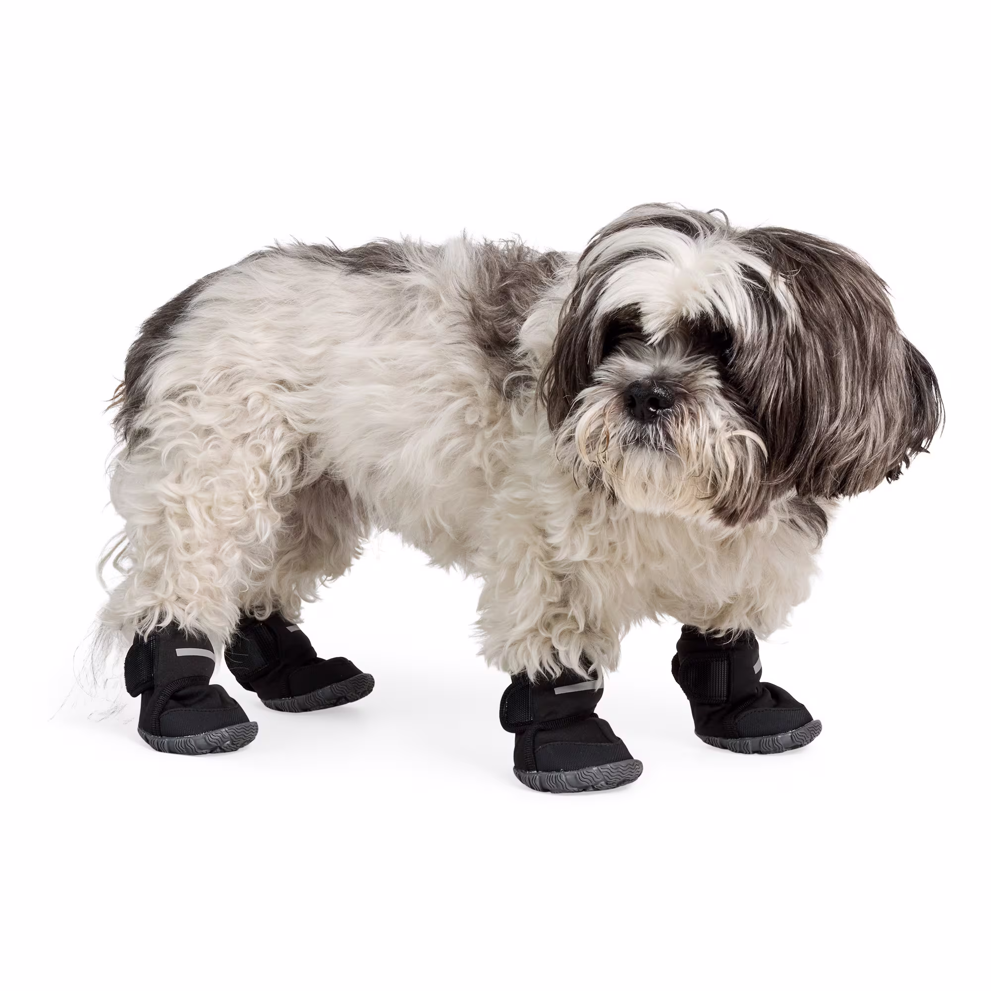 YOULY All-Weather Wrap Dog Boot, Small Petco