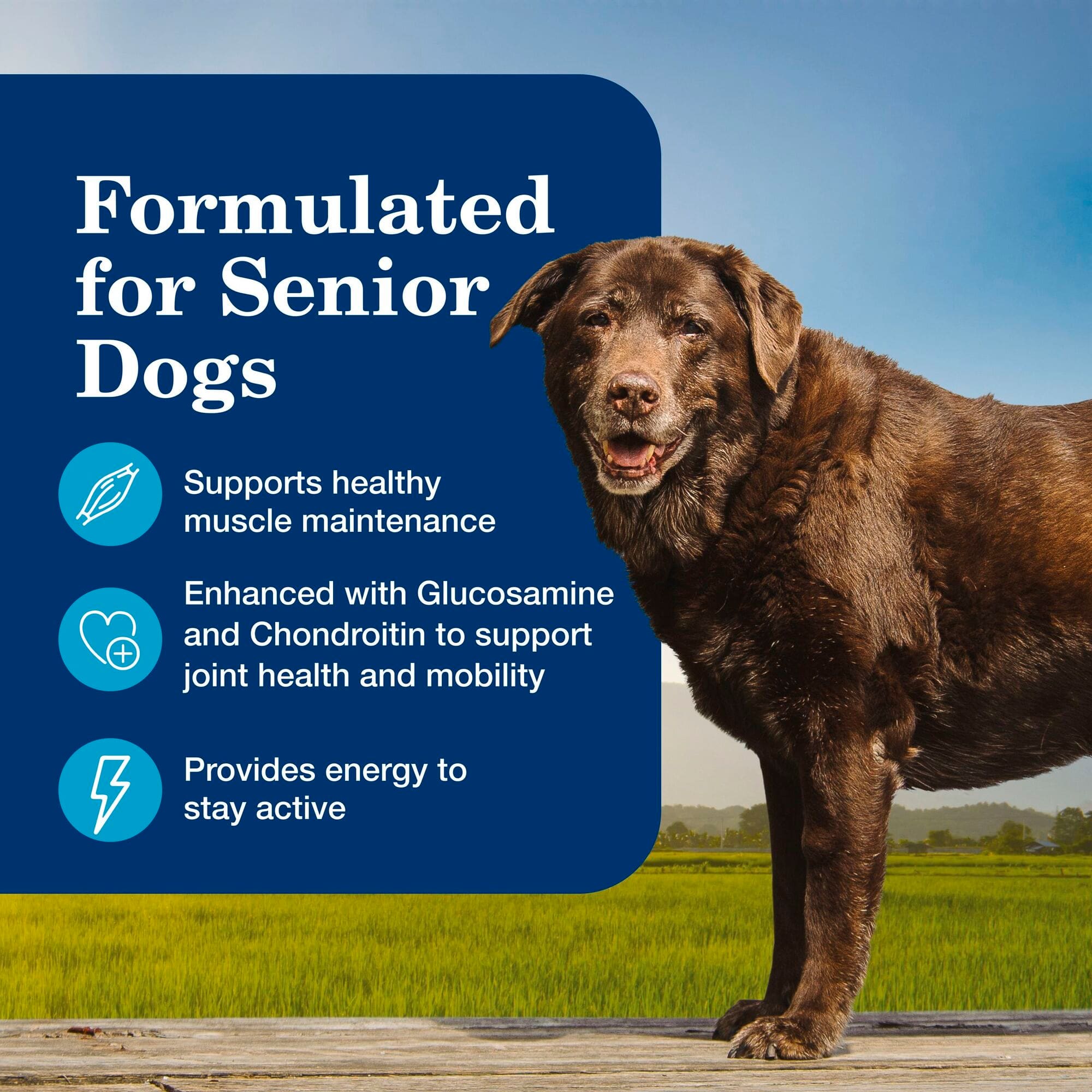 Blue Buffalo Homestyle Beef and Chicken Dinner Recipe Senior Wet