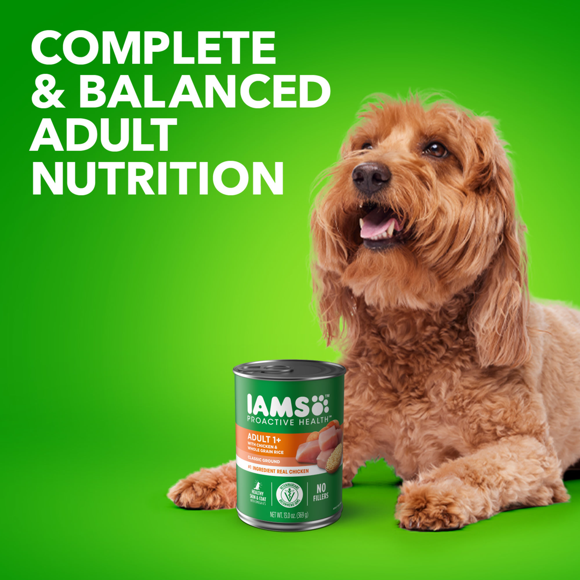 adult gold dog food fromm family foods Fromm Ancient Gold Adult Dry Dog Food