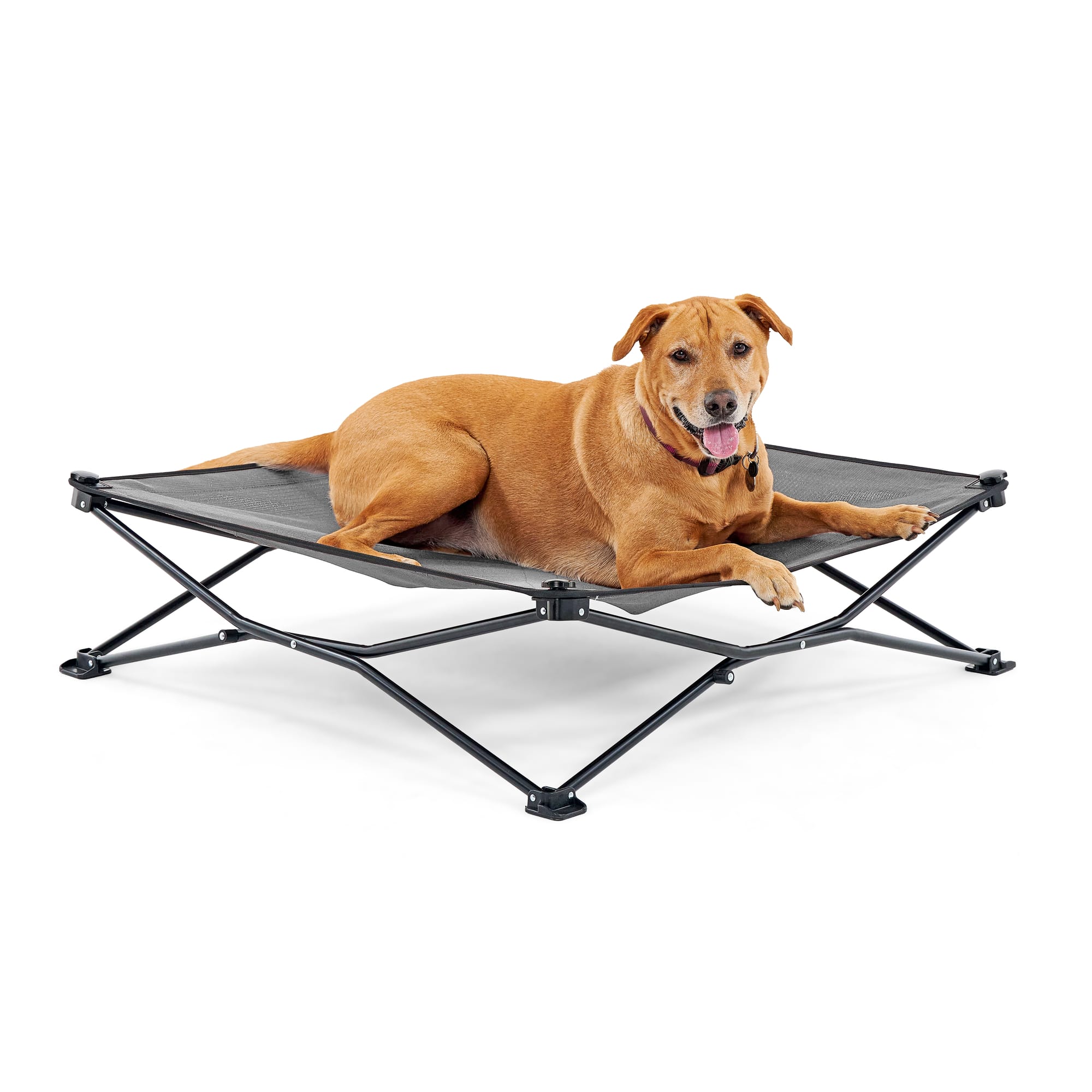 Coolaroo Elevated Pet Bed