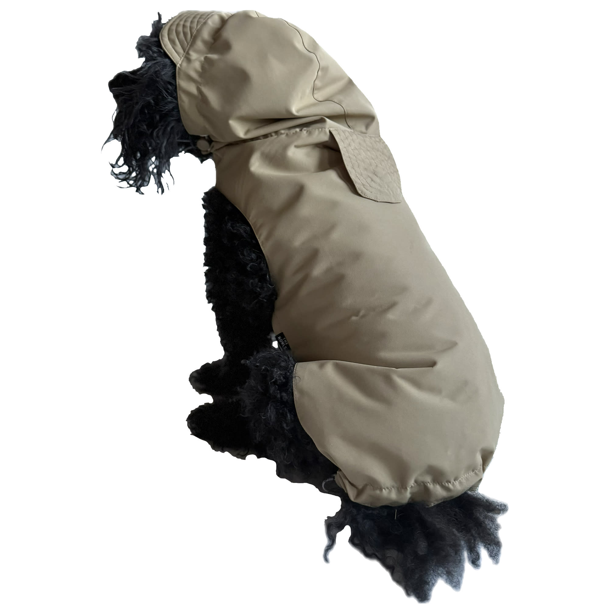 The Howls Everyday Dog Raincoat, Biscuit, Large | Petco