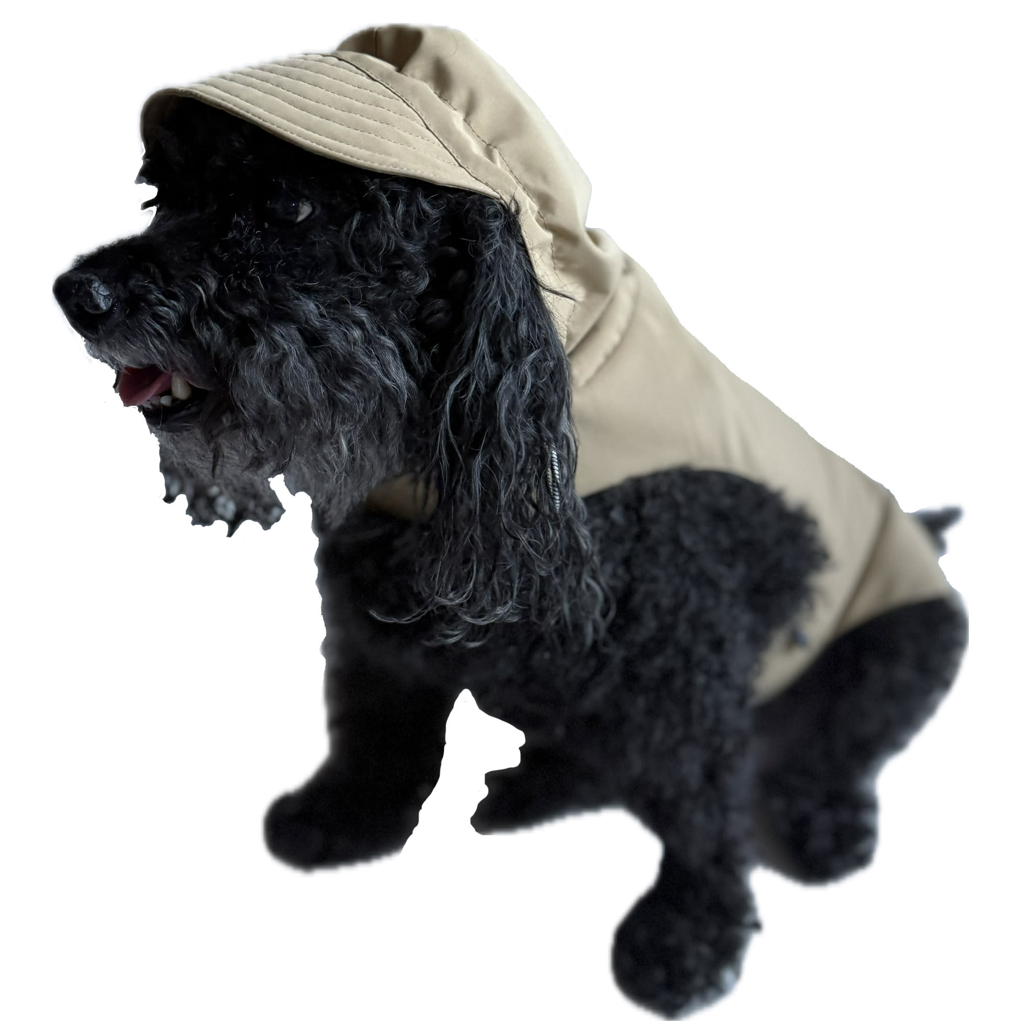 The Howls Everyday Dog Raincoat, Biscuit, Large | Petco