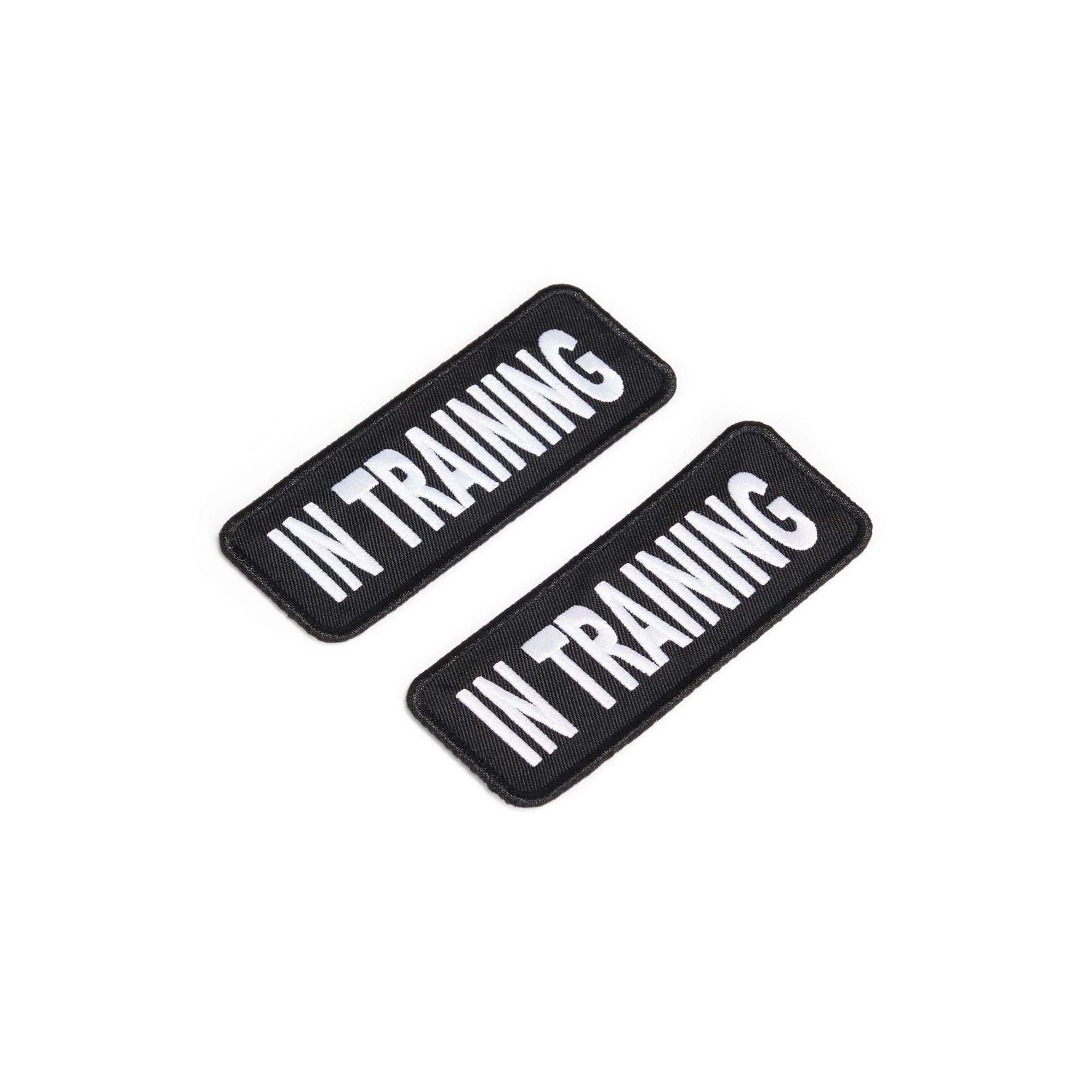 'IN TRAINING PLEASE ASK BEFORE PETTING' – Service Dog Vest Patch