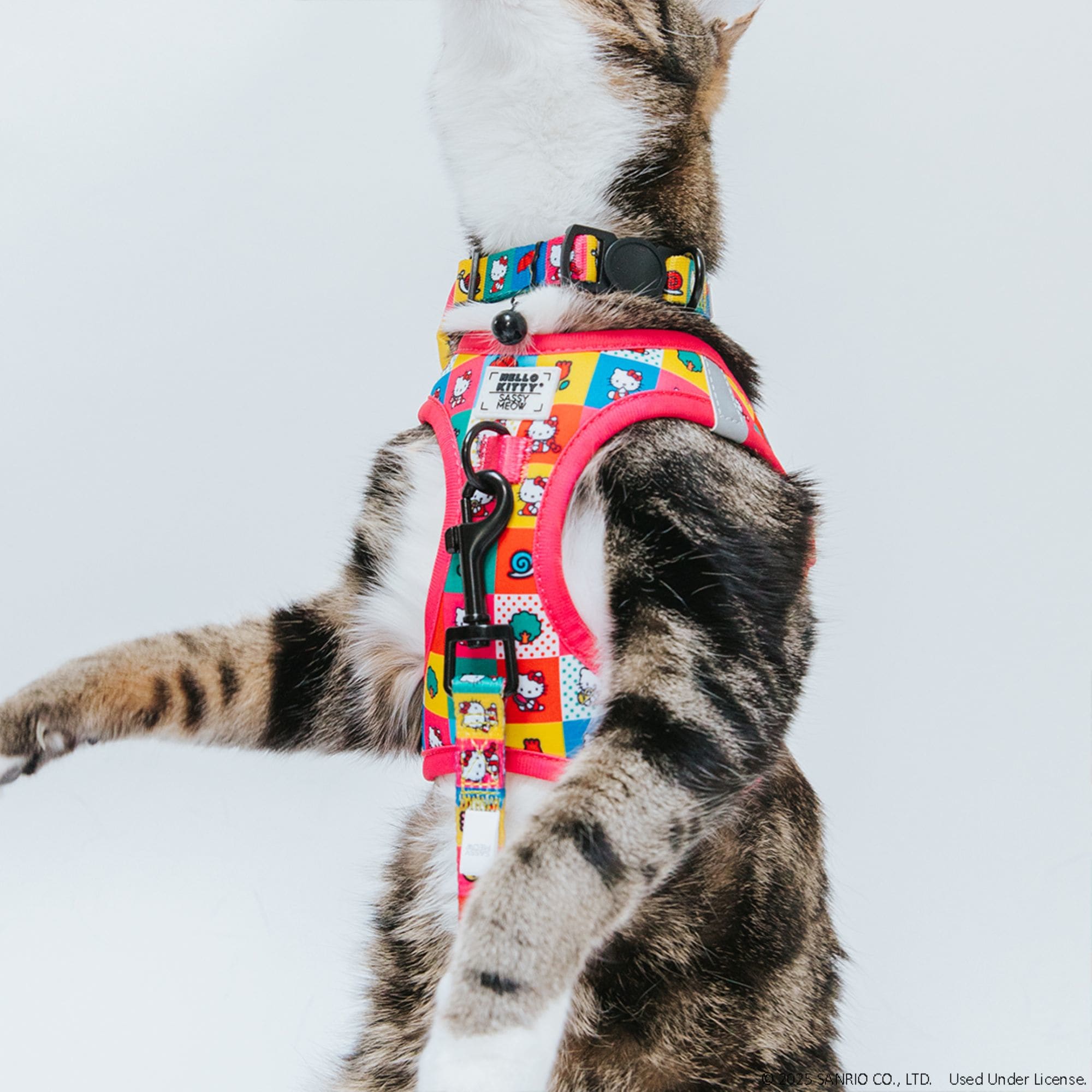 Sassy Meow Hello Kitty Pink Cat Harness, X-Small | Petco