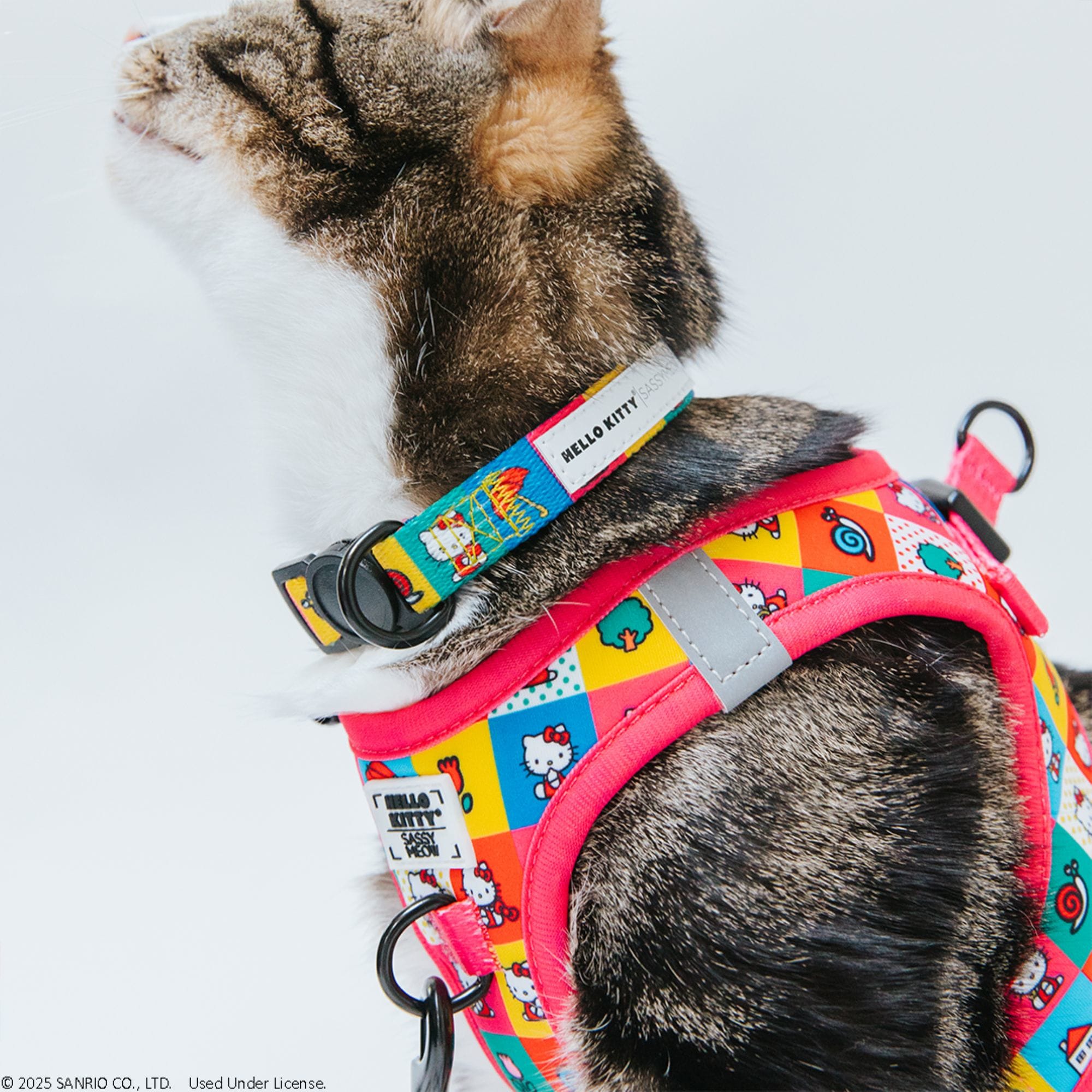 Sassy Meow Hello Kitty Pink Cat Harness, X-Small | Petco