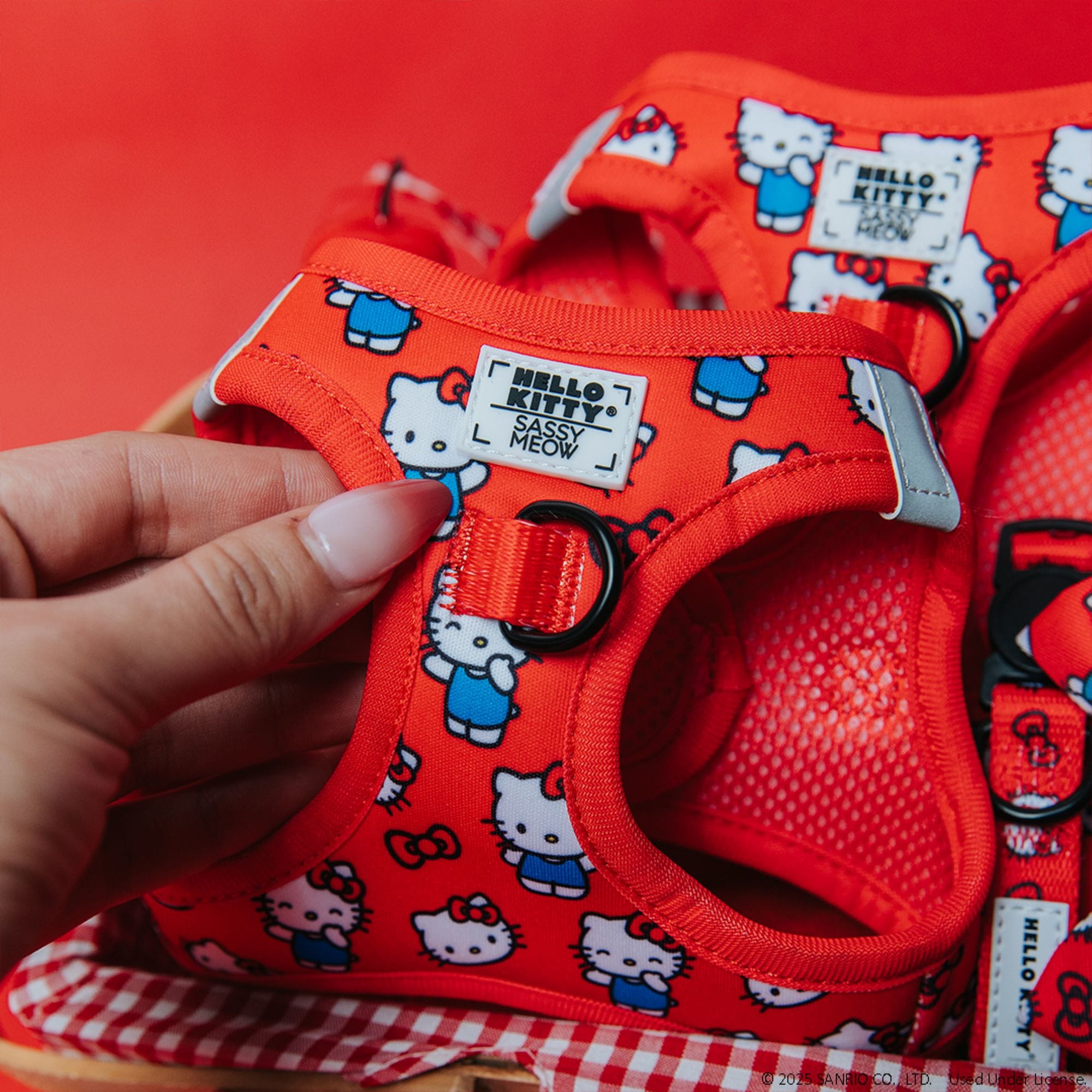 Sassy Meow Hello Kitty Red Cat Harness, X-Small | Petco