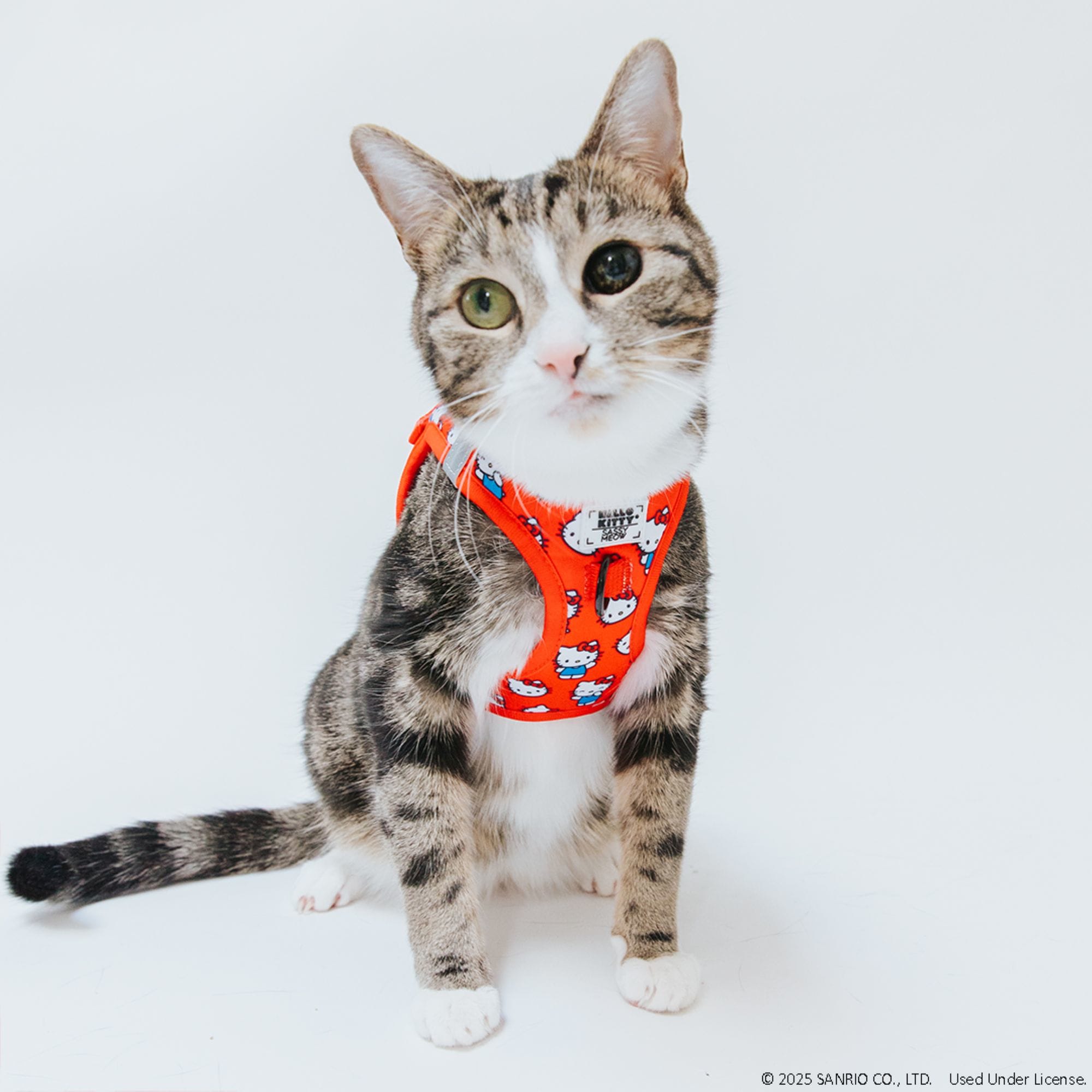 Sassy Meow Hello Kitty Red Cat Harness, X-Small | Petco