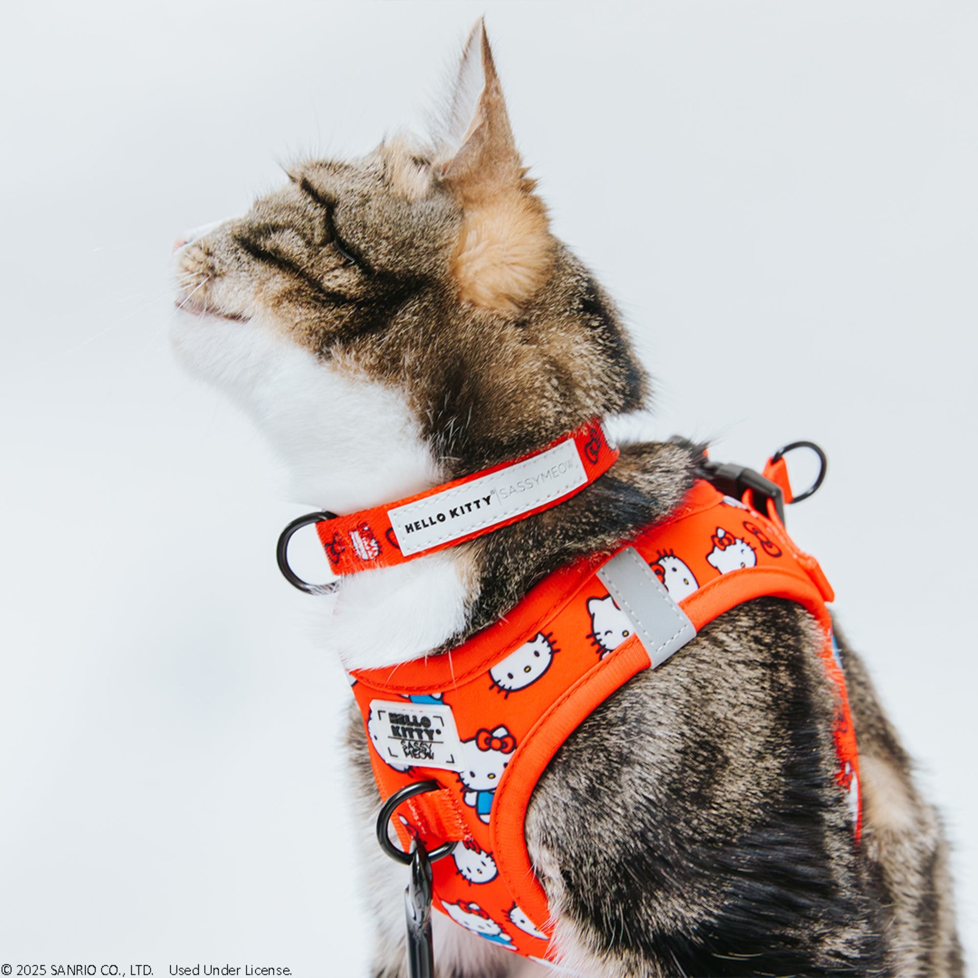 Sassy Meow Hello Kitty Red Cat Harness, X-Small | Petco