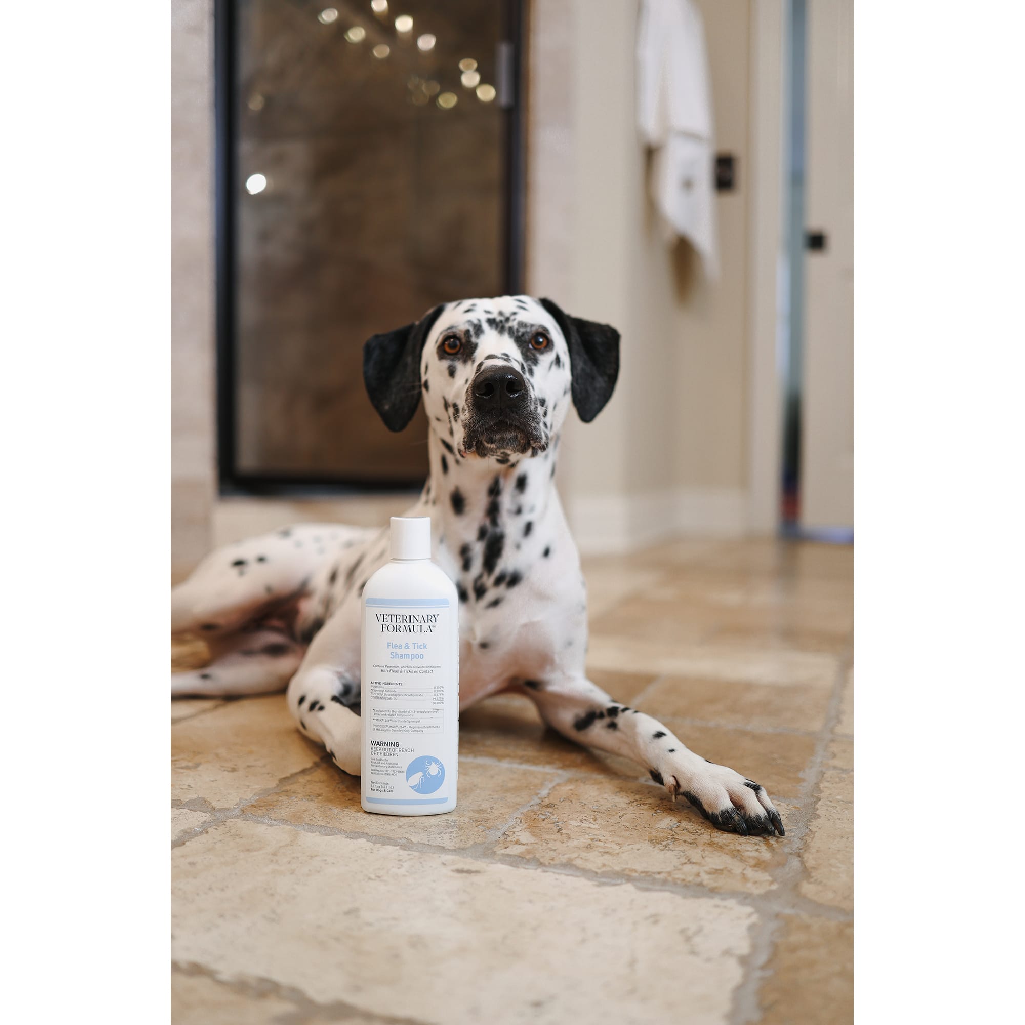 Best Dog Flea & Tick Shampoos 2026: Based on Customer Reviews | Petco
