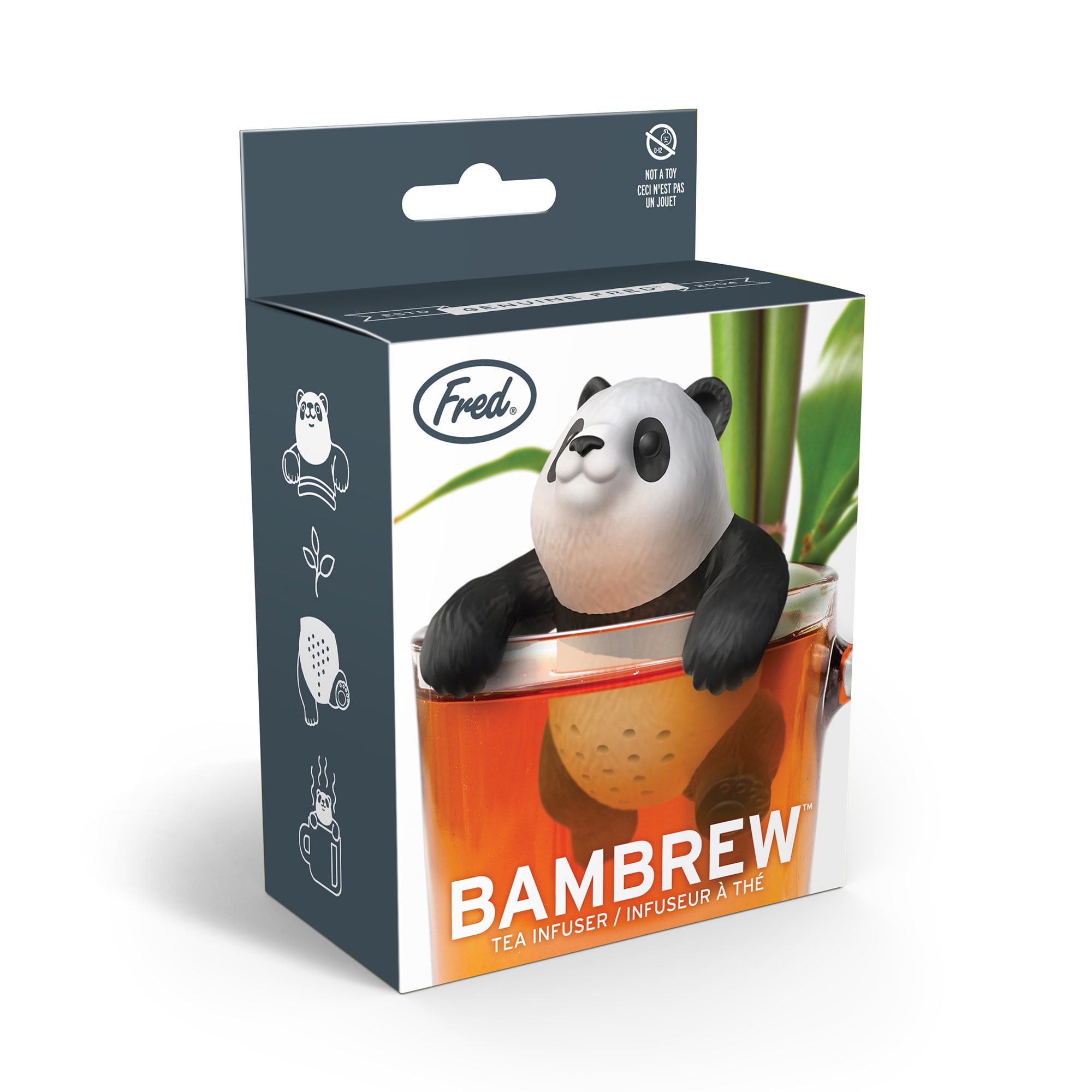 nicht invasiver bambus Bambus Fargesia 18er Set, immergrüner nicht invasiver Gartenbambus, gr