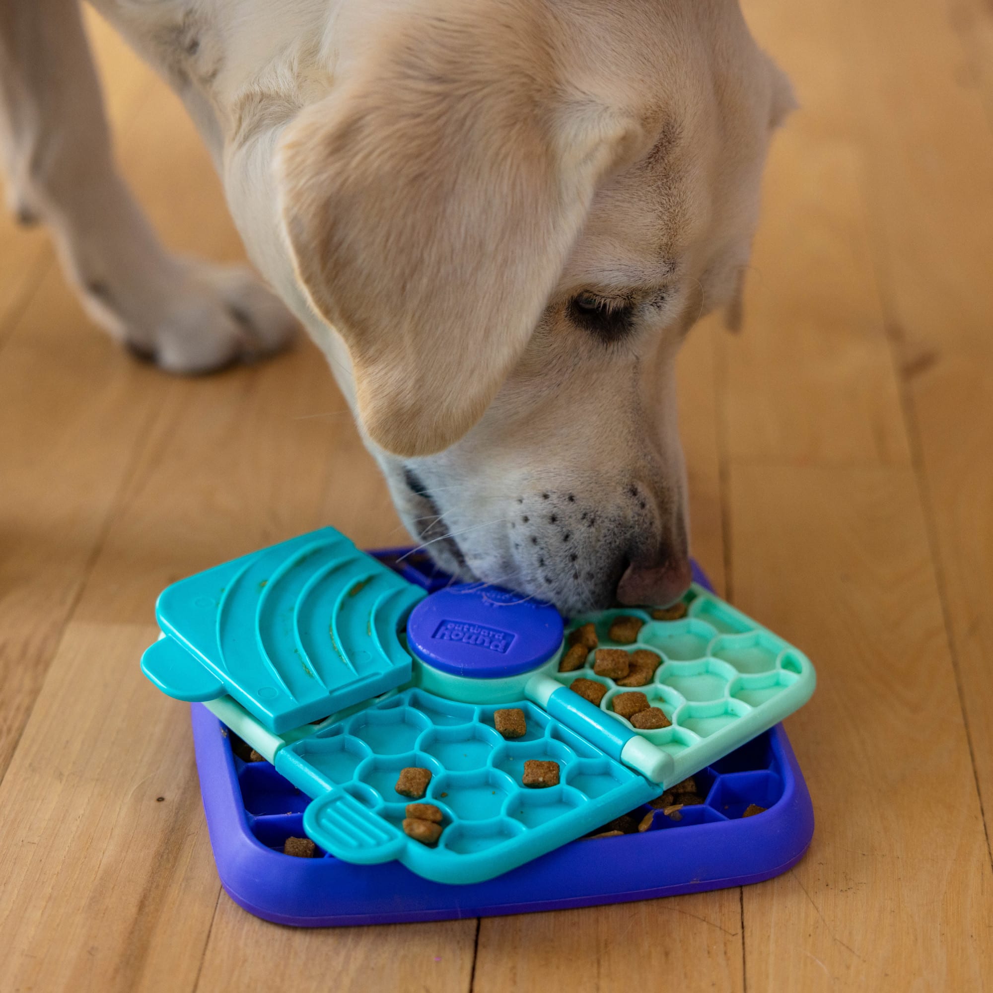 Outward Hound by Nina Ottosson Lick N' Flip 3-in-1 Interactive Dog