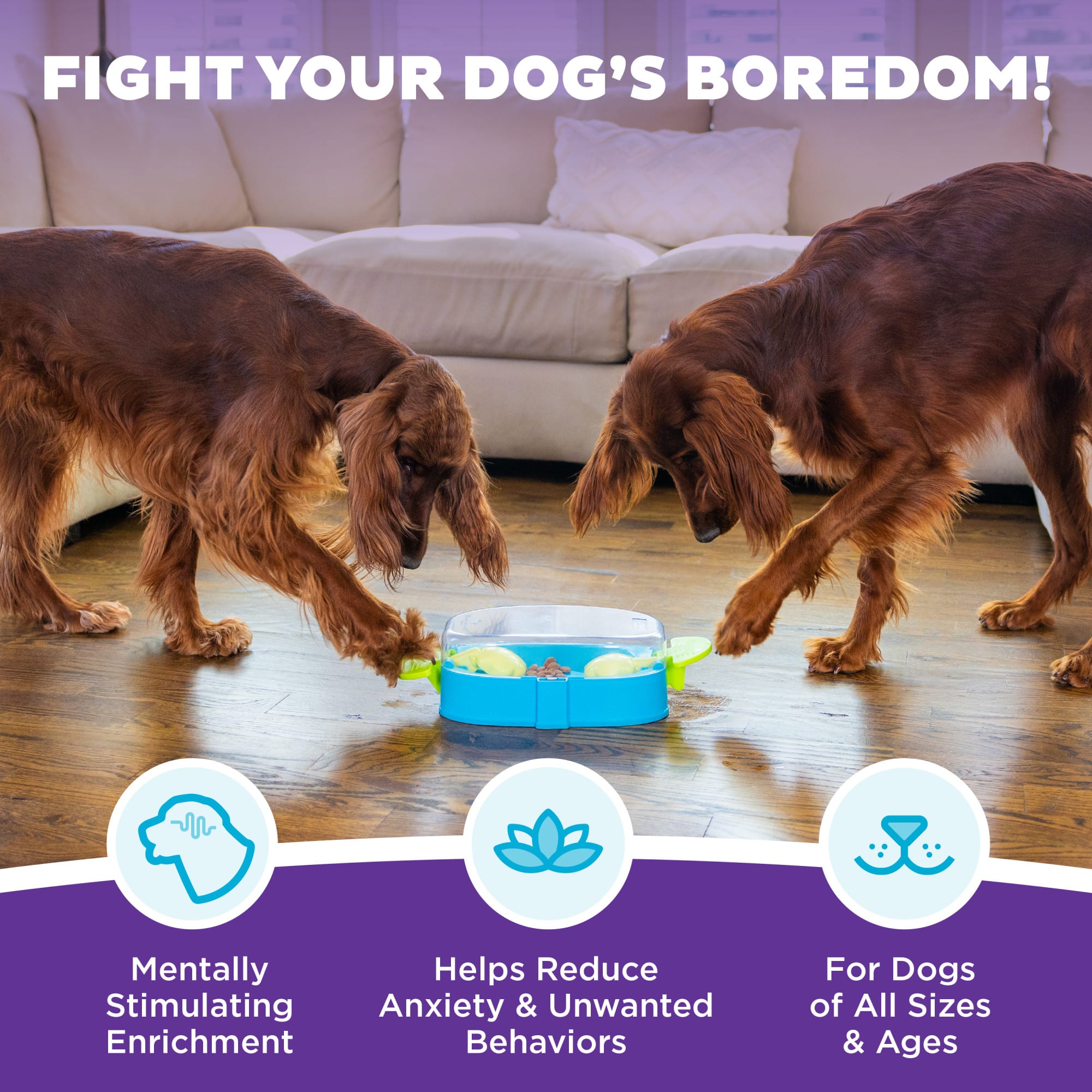 Outward Hound by Nina Ottosson Paw N' Play Dog Treat Puzzle Level