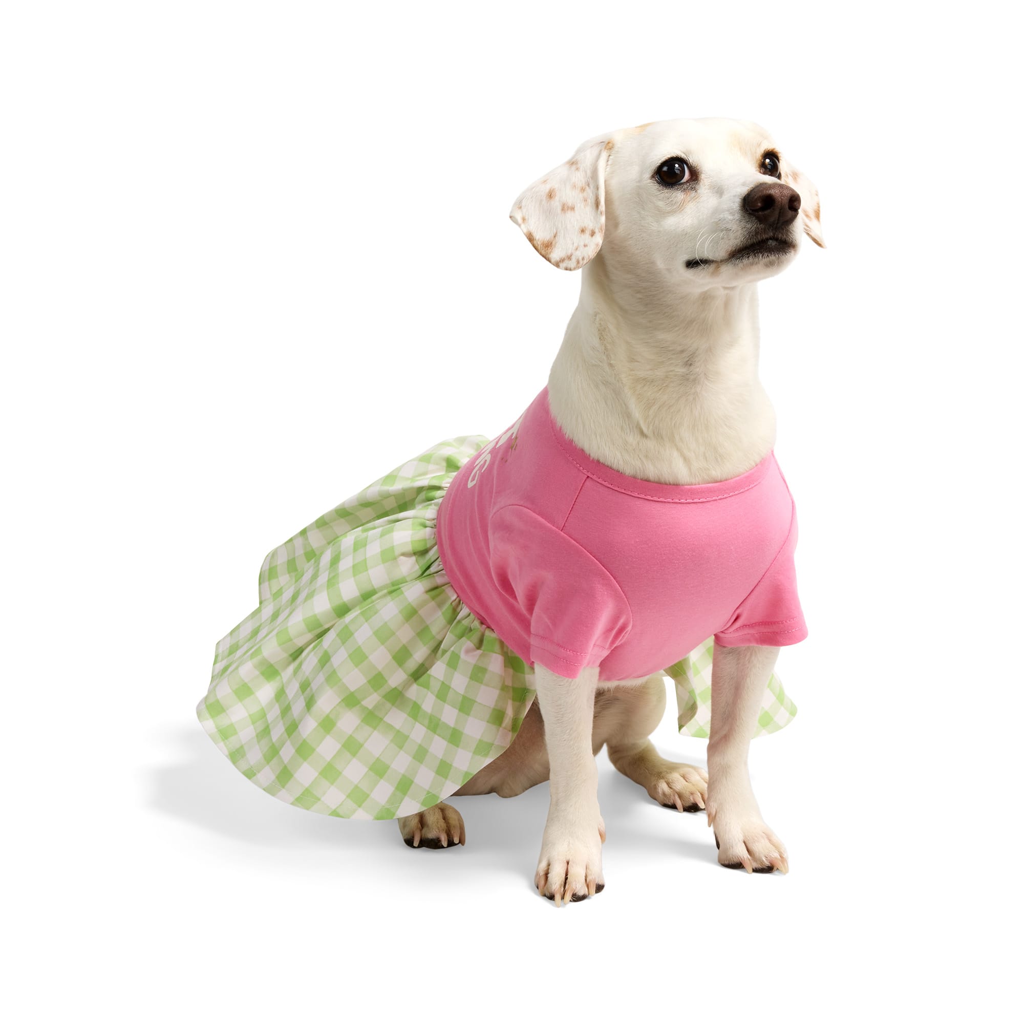 YOULY Perfect Is Boring Pet Dress, XX-Small | Petco