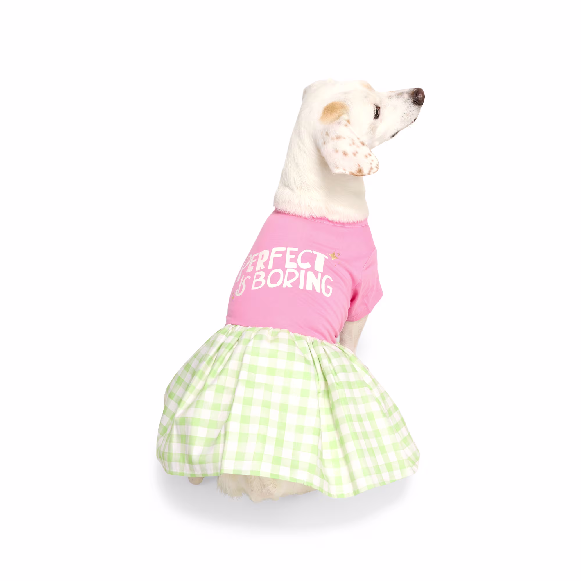 YOULY Perfect Is Boring Pet Dress, XX-Small | Petco