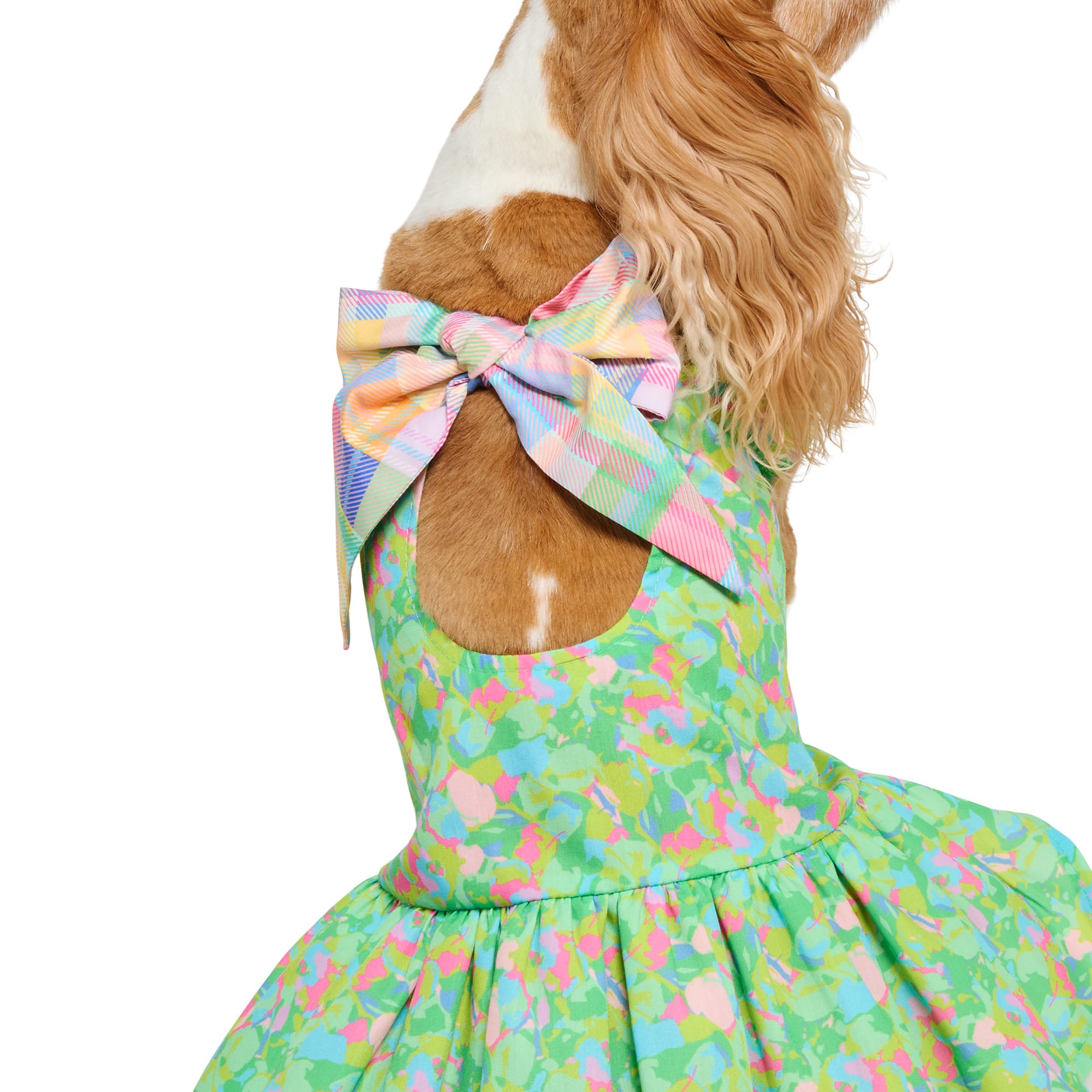 elegant sage green evening dress Dog Days of Summer Organic Cotton Dress for Kids