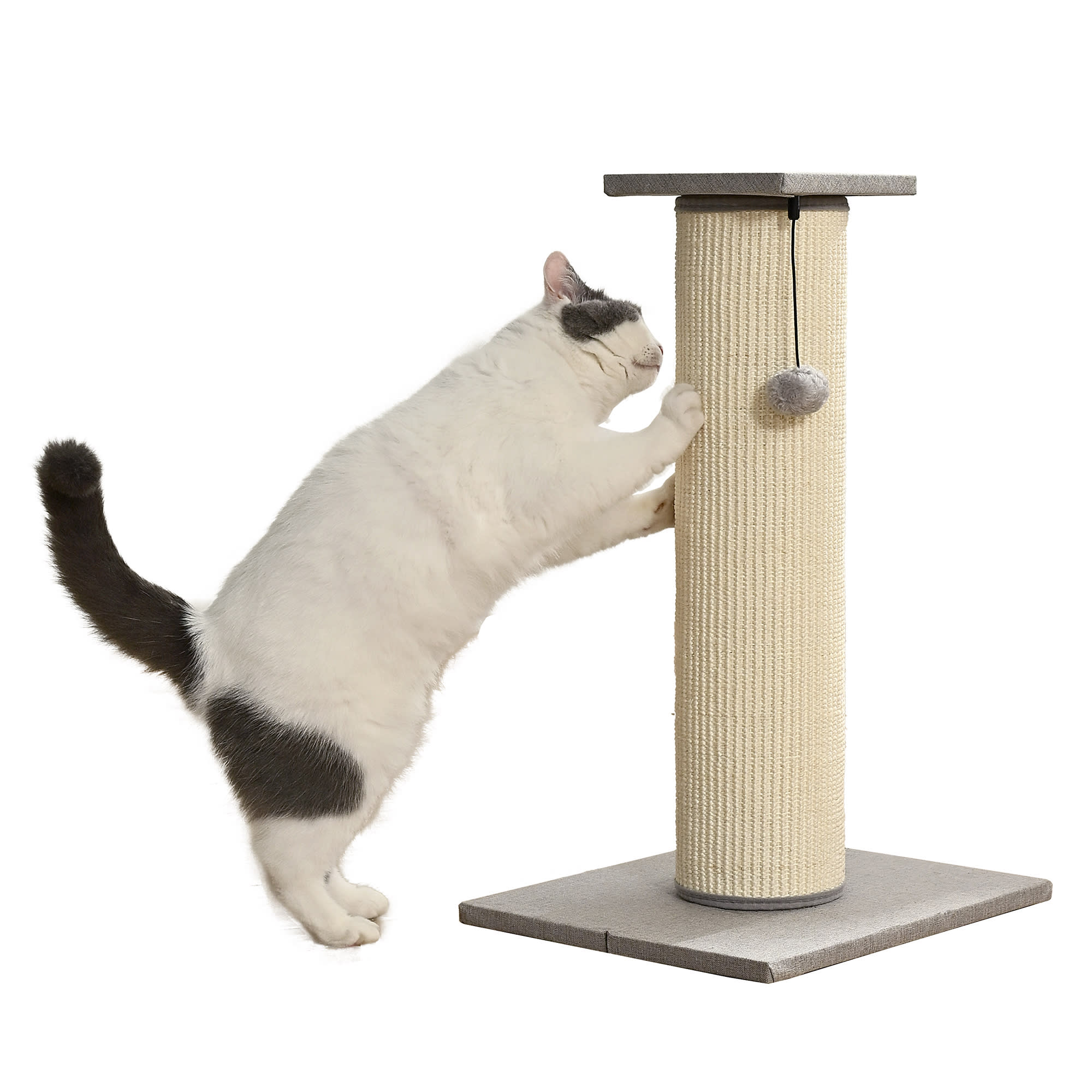 Catloveページ Amazon.com : SHENGOCASE Cat Tree Tower Accessories