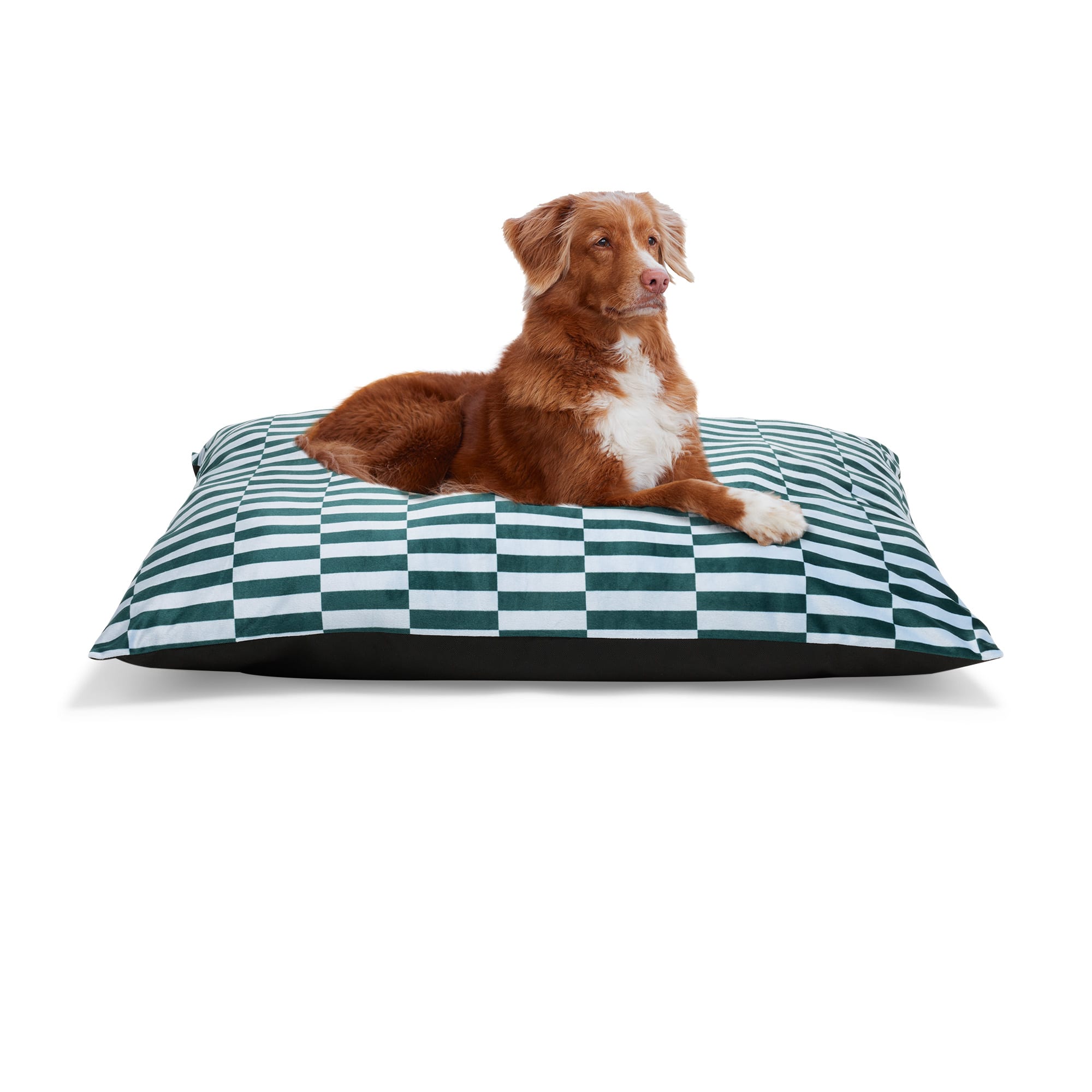 The 16 Best Calming Dog Beds, image size:2000x2000