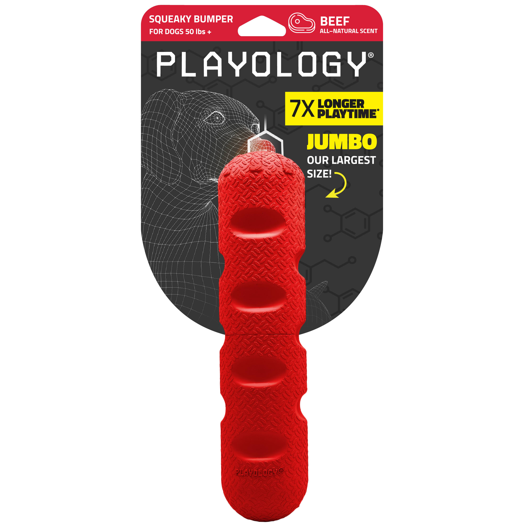 Playology Bumper Beef Scent Squeaker Chew Dog Toy