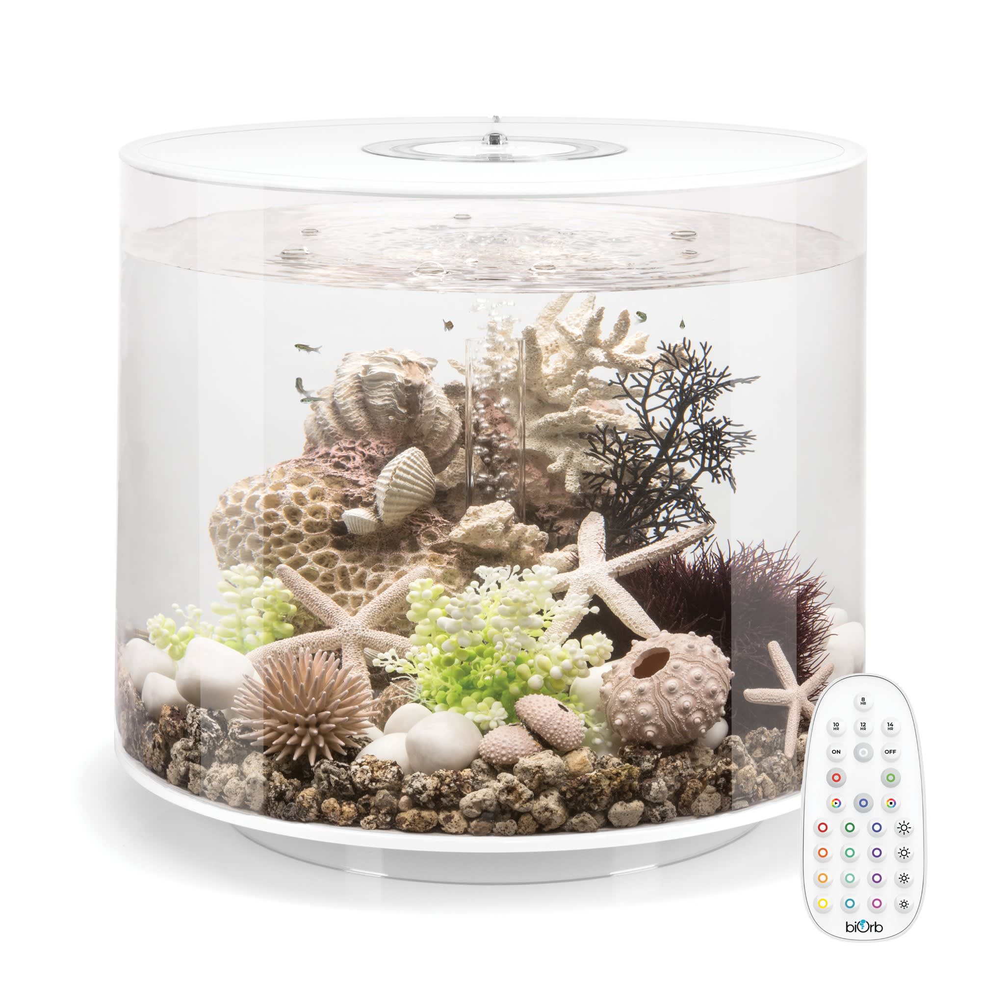 biOrb White TUBE 35 Aquarium with MCR Light, 9.2 Gallons | Petco