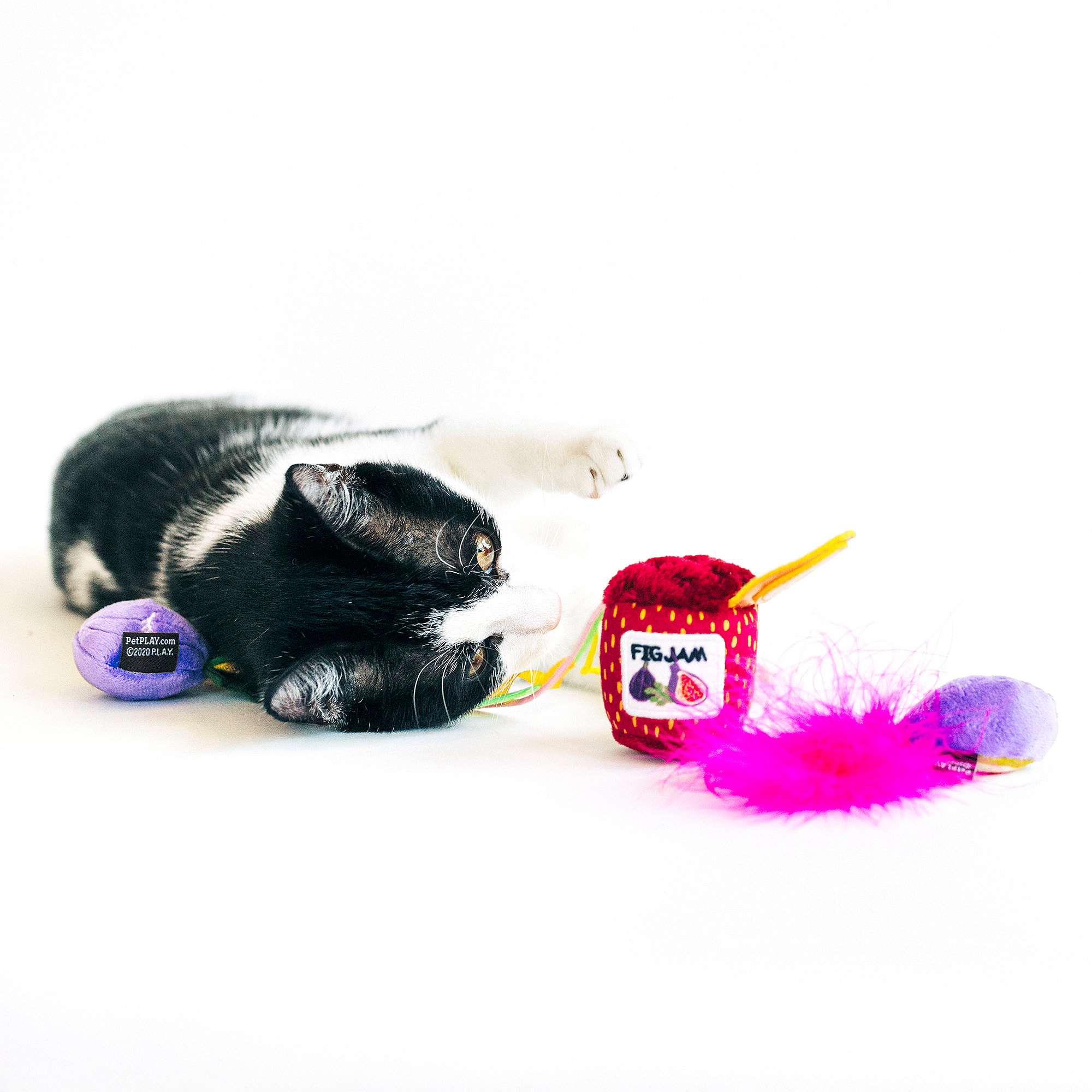 P.L.A.Y PET LIFESTYLE Feline Frenzy Fig n' Whiskers Cat Toy, Small