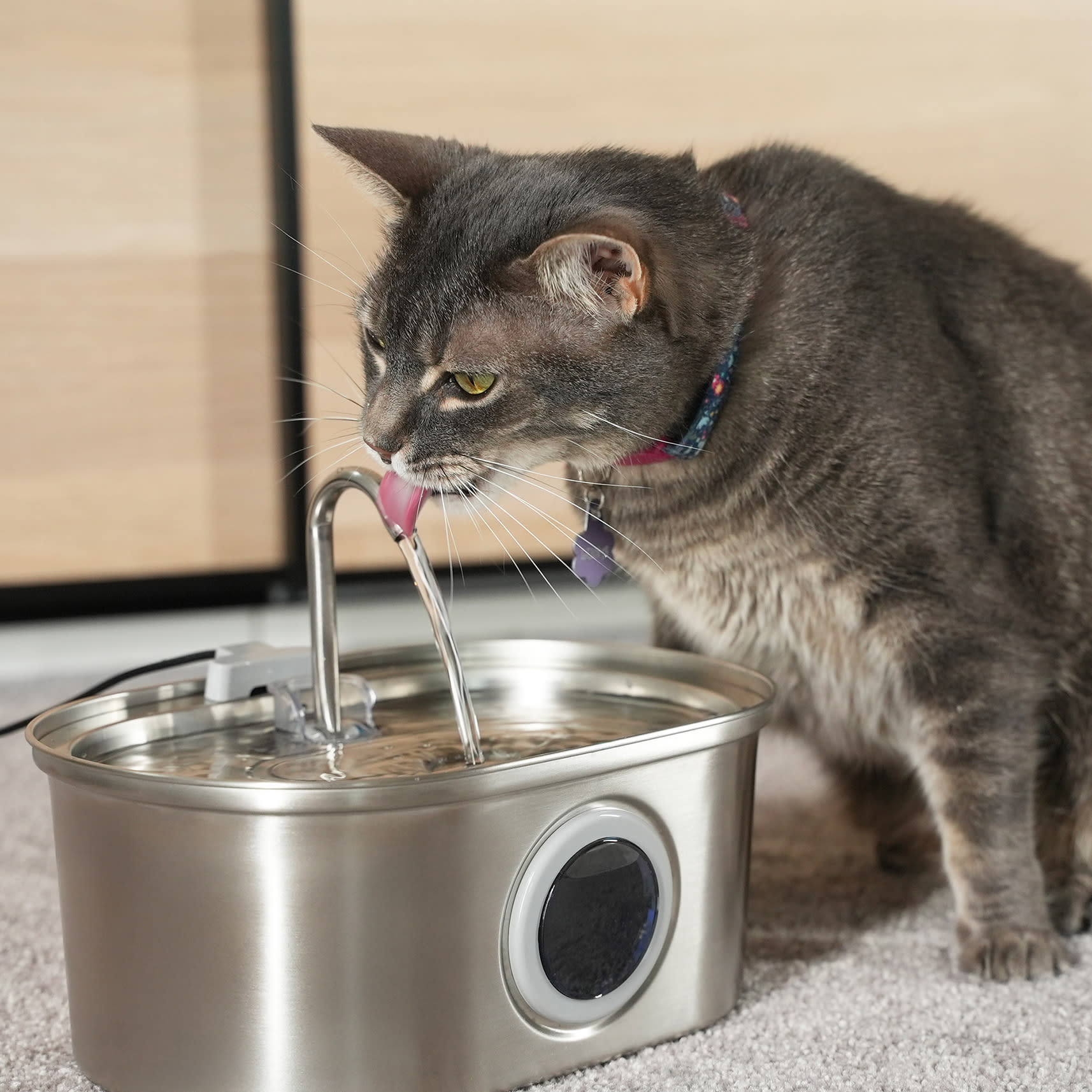 automatic cat box litter Open-Top Self Cleaning Cat Litter Box, Automatic Cat Litter Box main image 0