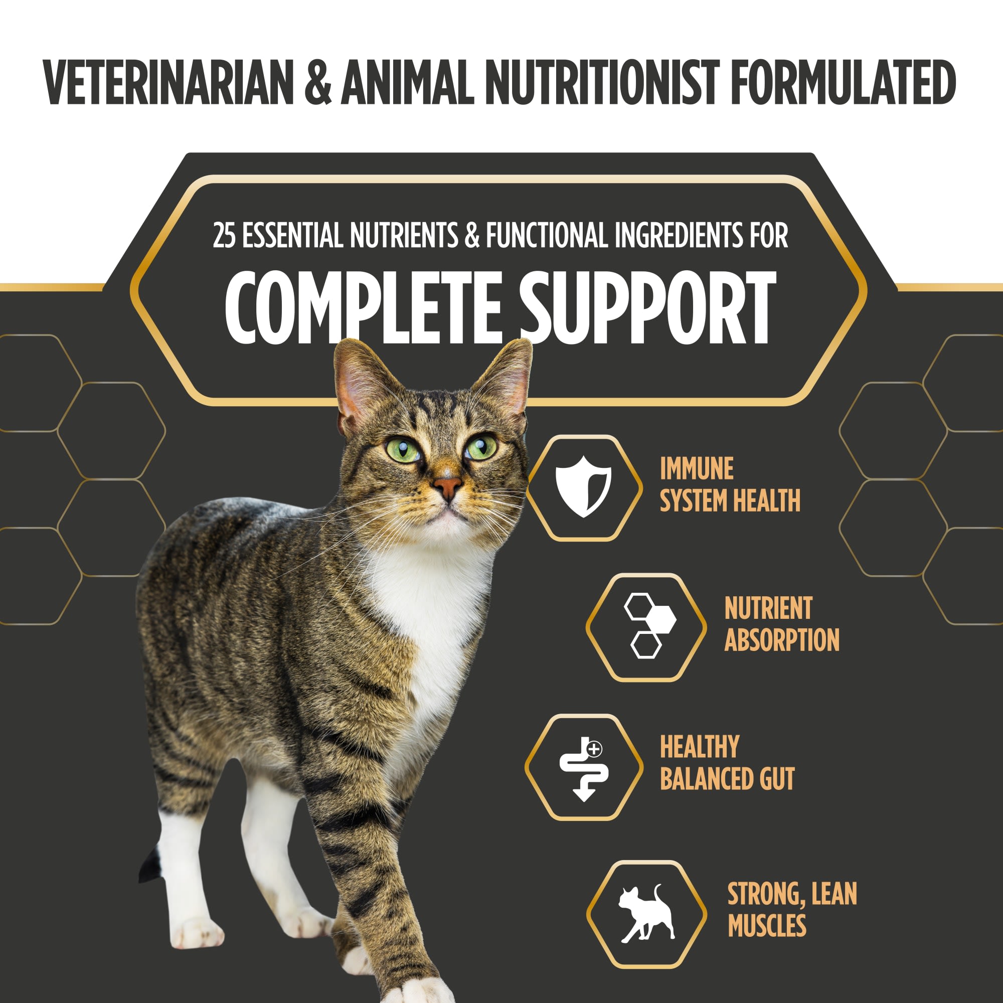 Nulo Prowess Sensitive Stomach for Adult Cats Chicken & Duck Pate