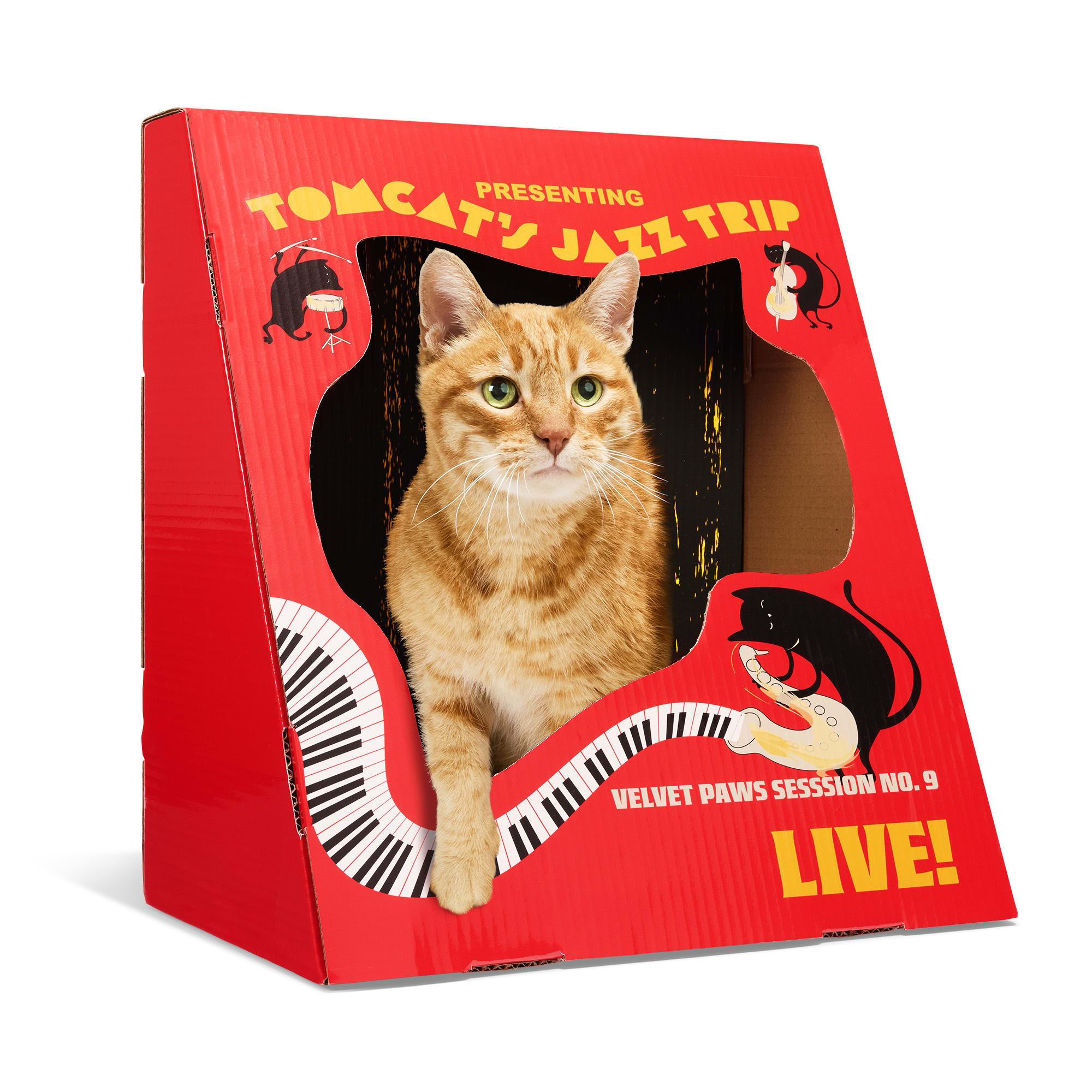 EveryYay Jazz Poster Cat Scratch Condo, 18