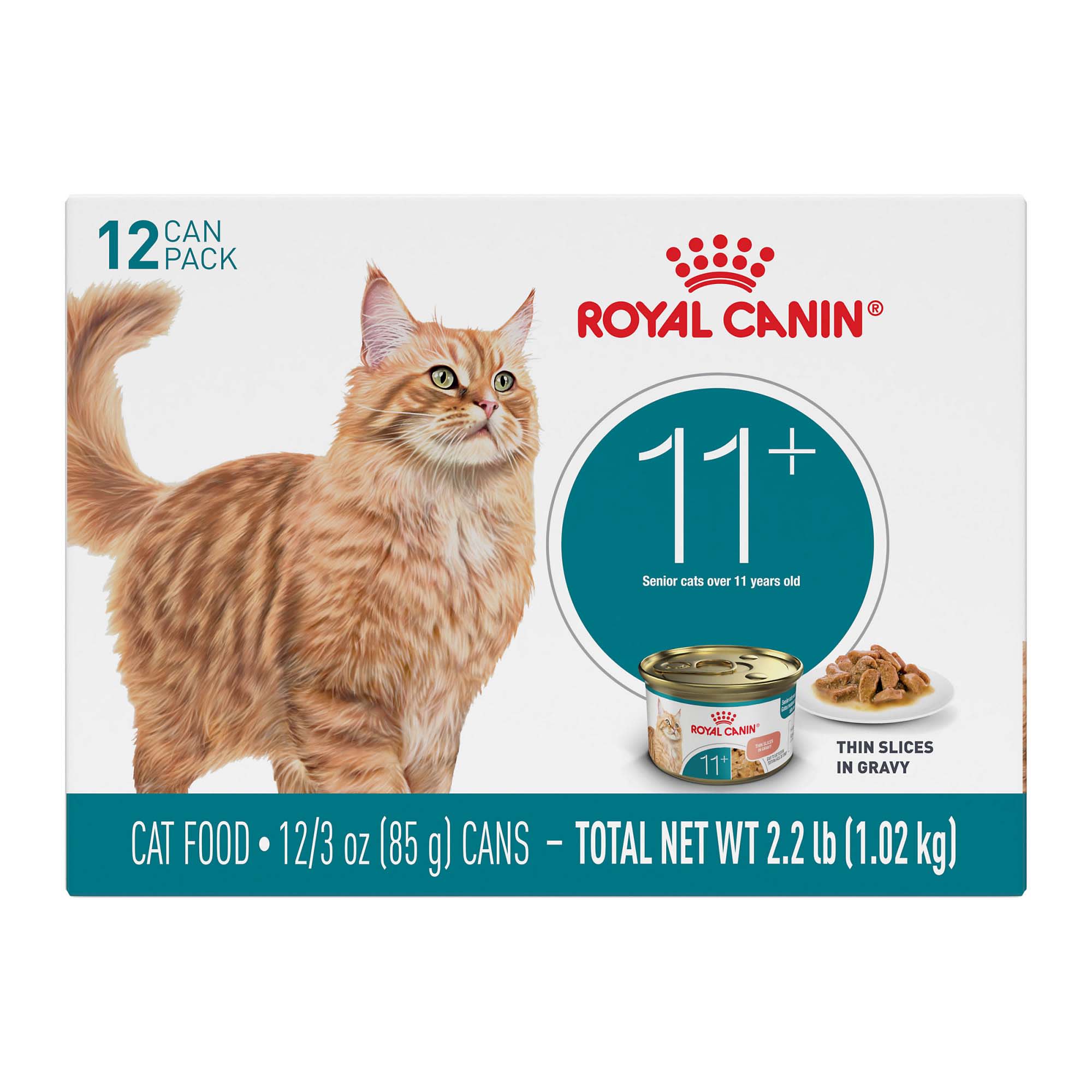 5 diameter cat food bowls LOLYKITCH Ceramic Cat Food Bowl Set-6 Inch Wide Shallow Cat Bowl for Relief  Whisker Fatigue Colorful Cute Cat Feeding Bowls