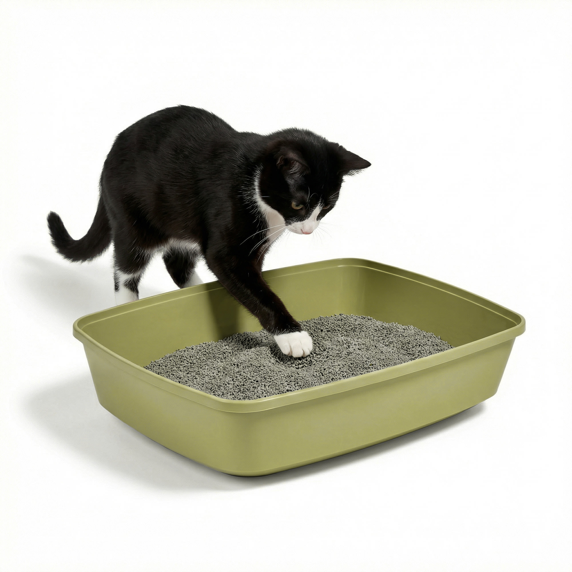 barbuzzo cat flip food bowl LE TAUCI Cat Food Bowl Ceramic, 8 Oz Small Cat Food Dishes for Indoor –  LETAUCI main image 0