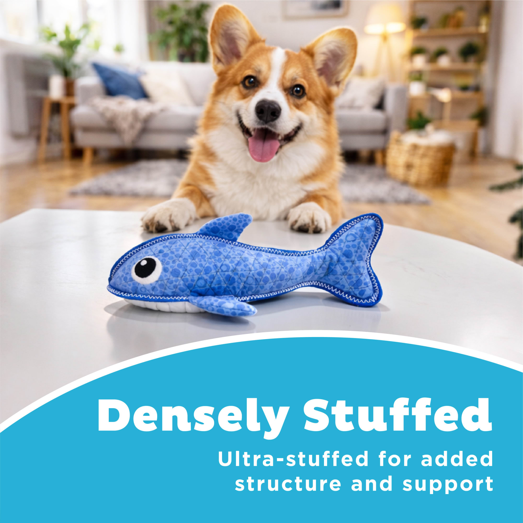Outward Hound Shark Xtreme Seamz Dog Toy, Medium | Petco