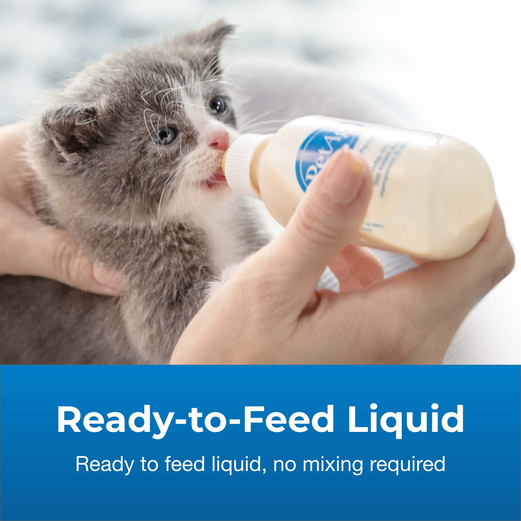 PetAg KMR Kitten Milk Replacer Liquid, 16 fl. oz. | Petco