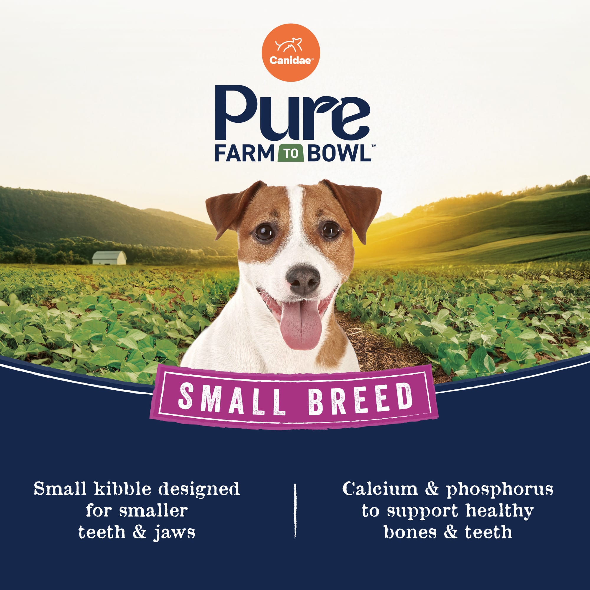 Canidae Pure Farm To Bowl Wild-Caught Salmon & Lentil, Small Breed