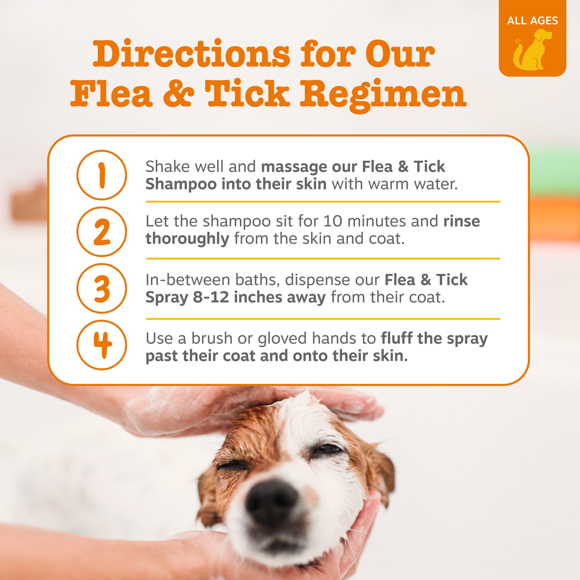 Best Dog Flea & Tick Shampoos 2026: Based on Customer Reviews | Petco
