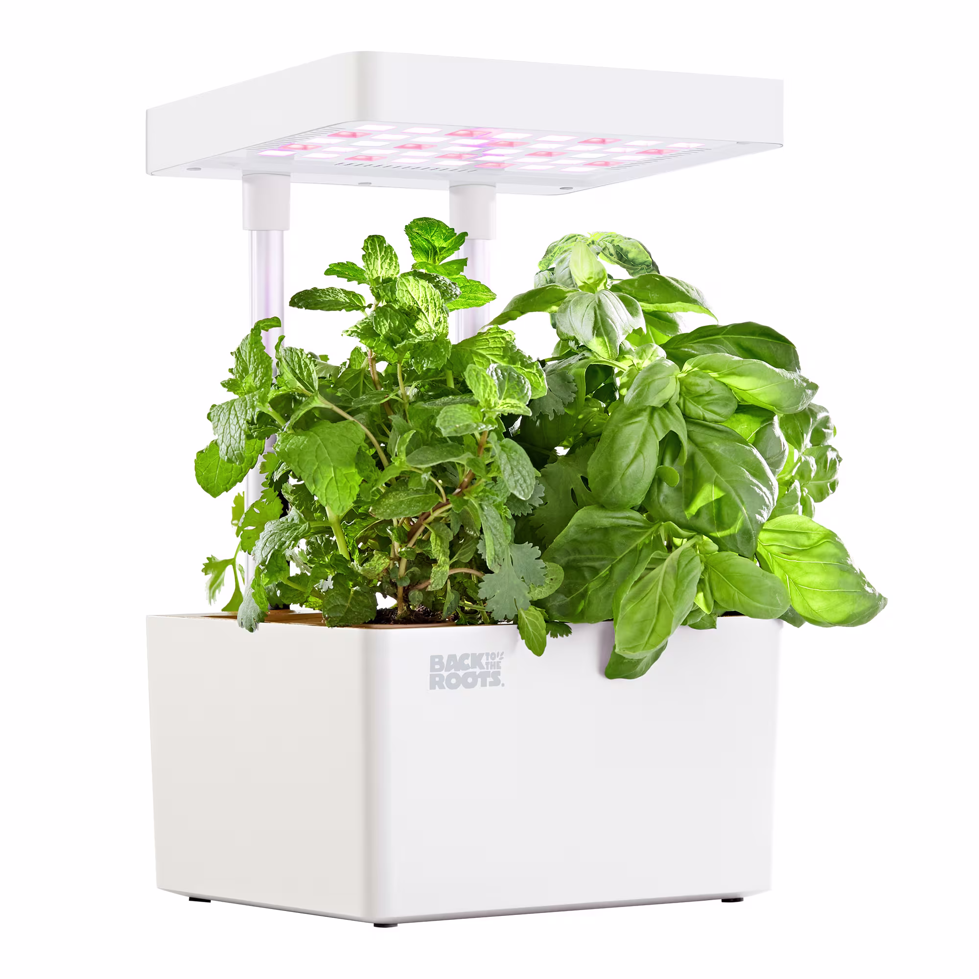Back to the Roots Hydroponic Grow Kit Indoor Garden with LED Light and  Organic Seeds Matte White, Small/Medium | Petco