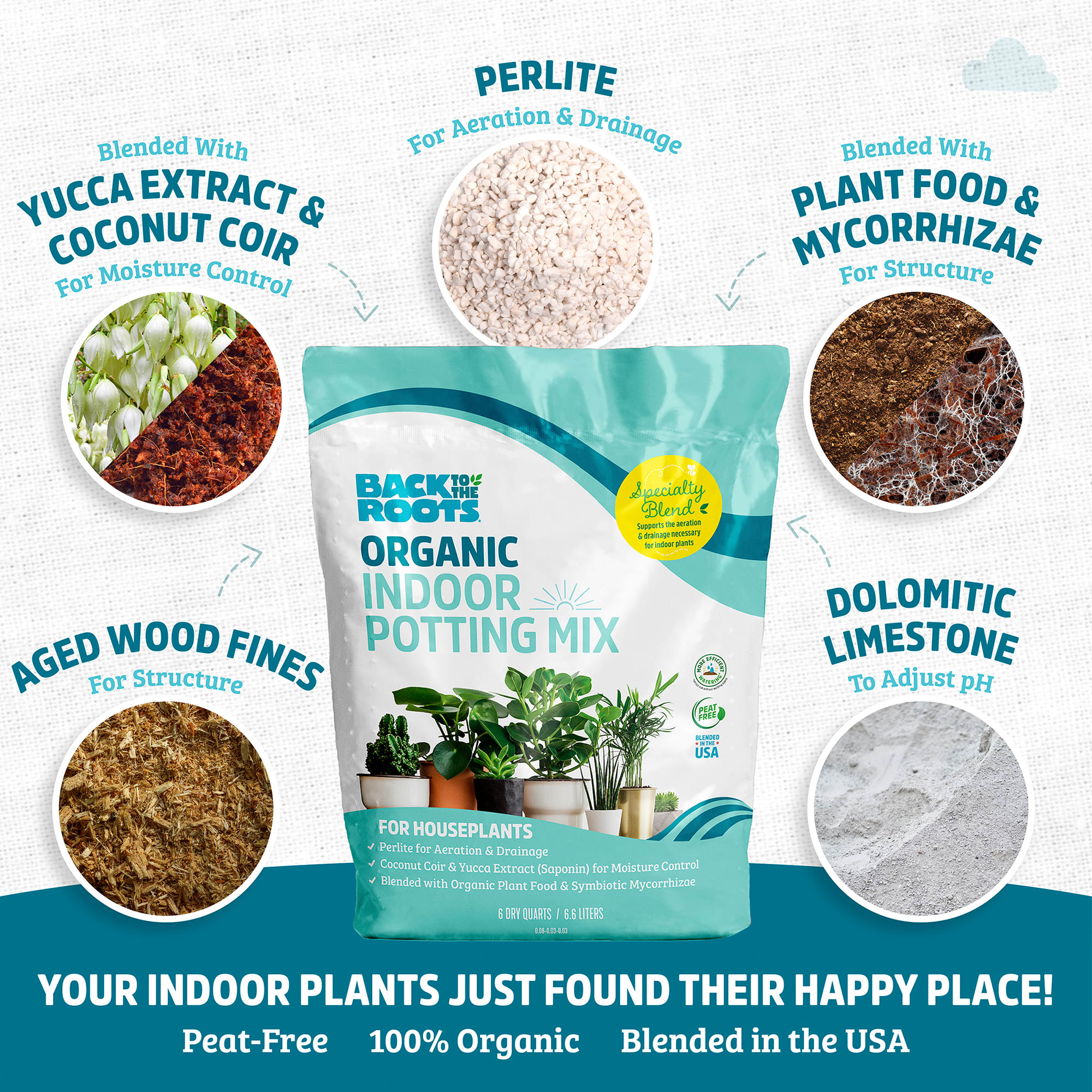 Back to the Roots Organic Indoor Potting Mix 6 QT, Brown, Medium | Petco