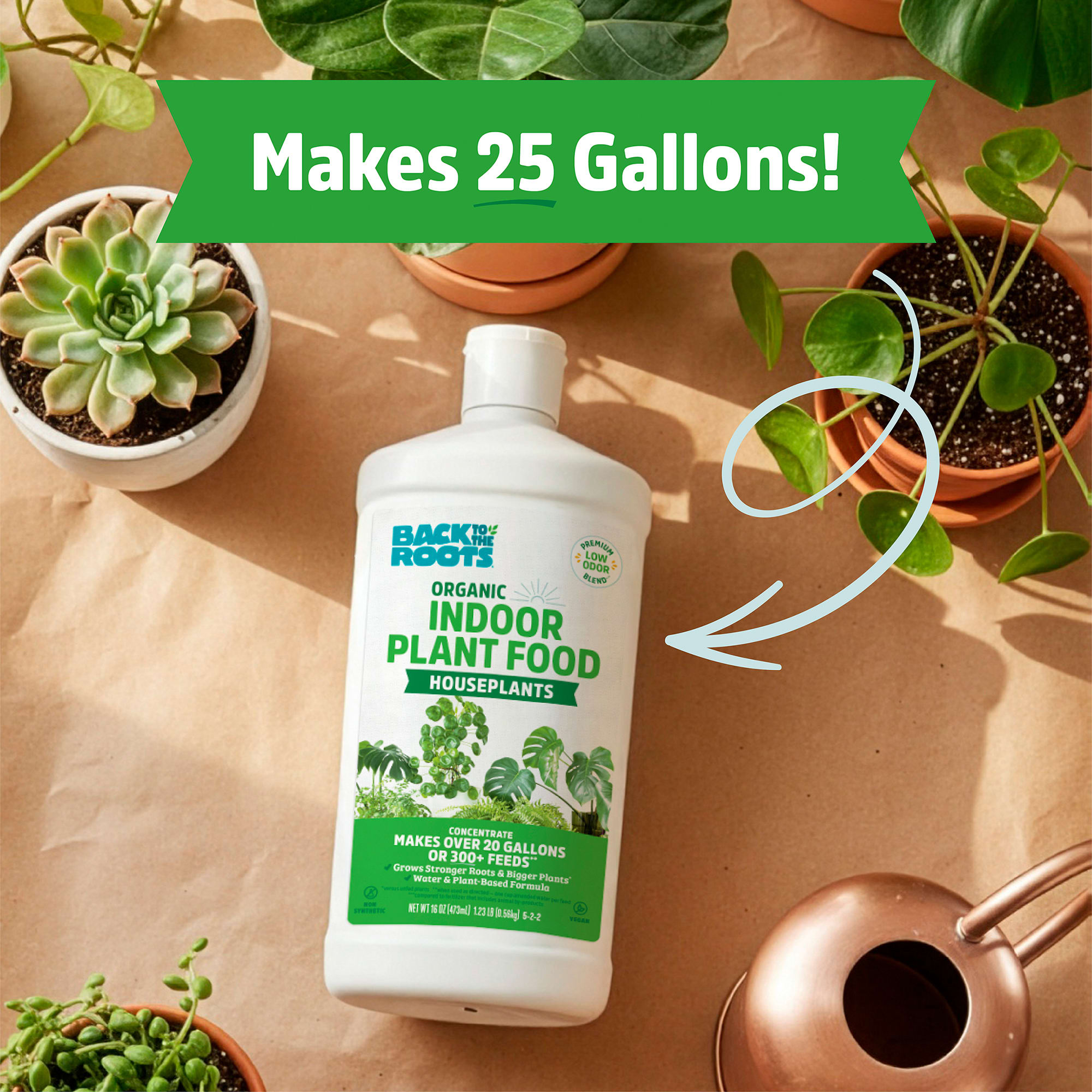 Back to the Roots Organic Indoor Plant Food Liquid 16 oz for Houseplants,  White, Small/Medium | Petco