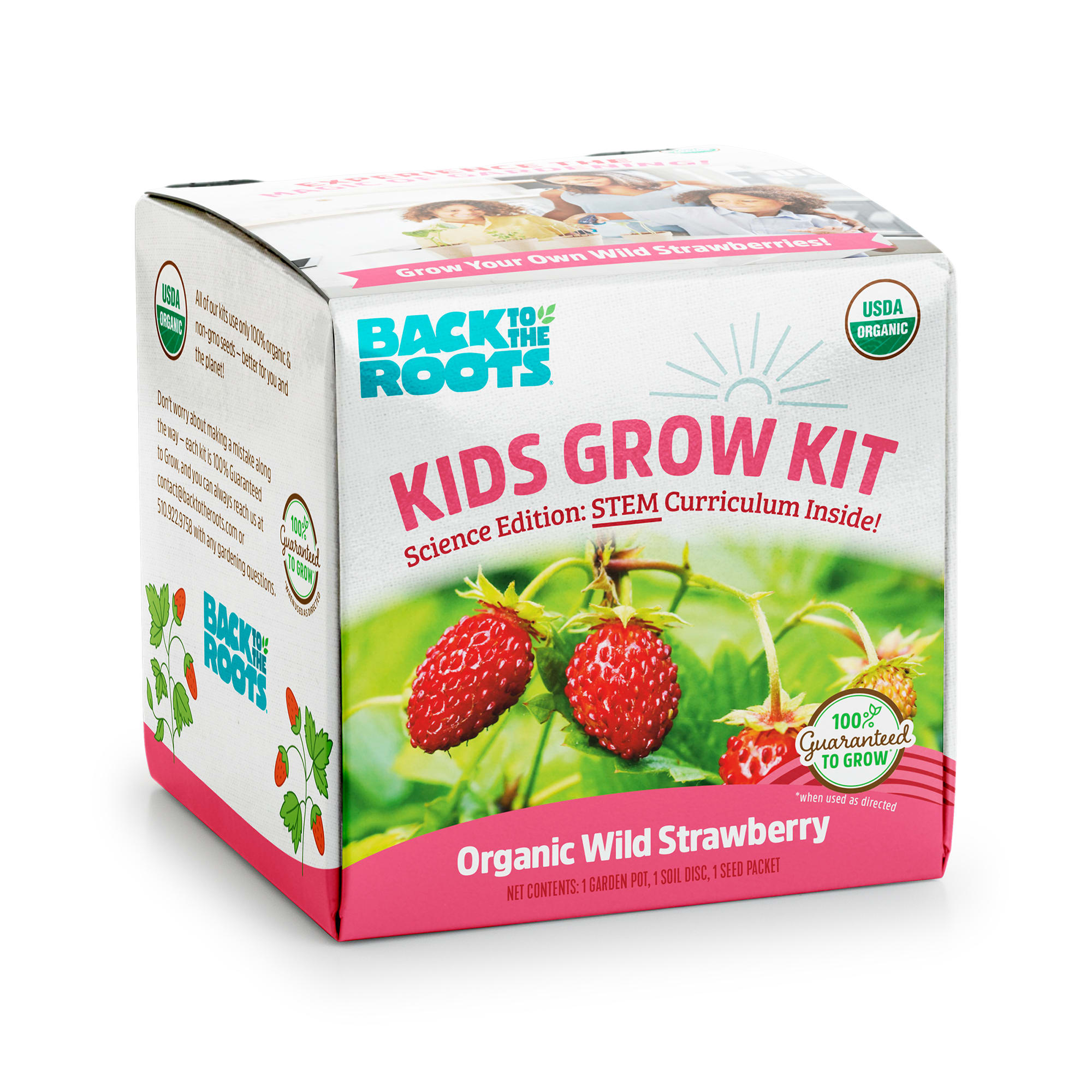 Back to the Roots Kids Organic Wild Straberry Grow Kit, Small | Petco
