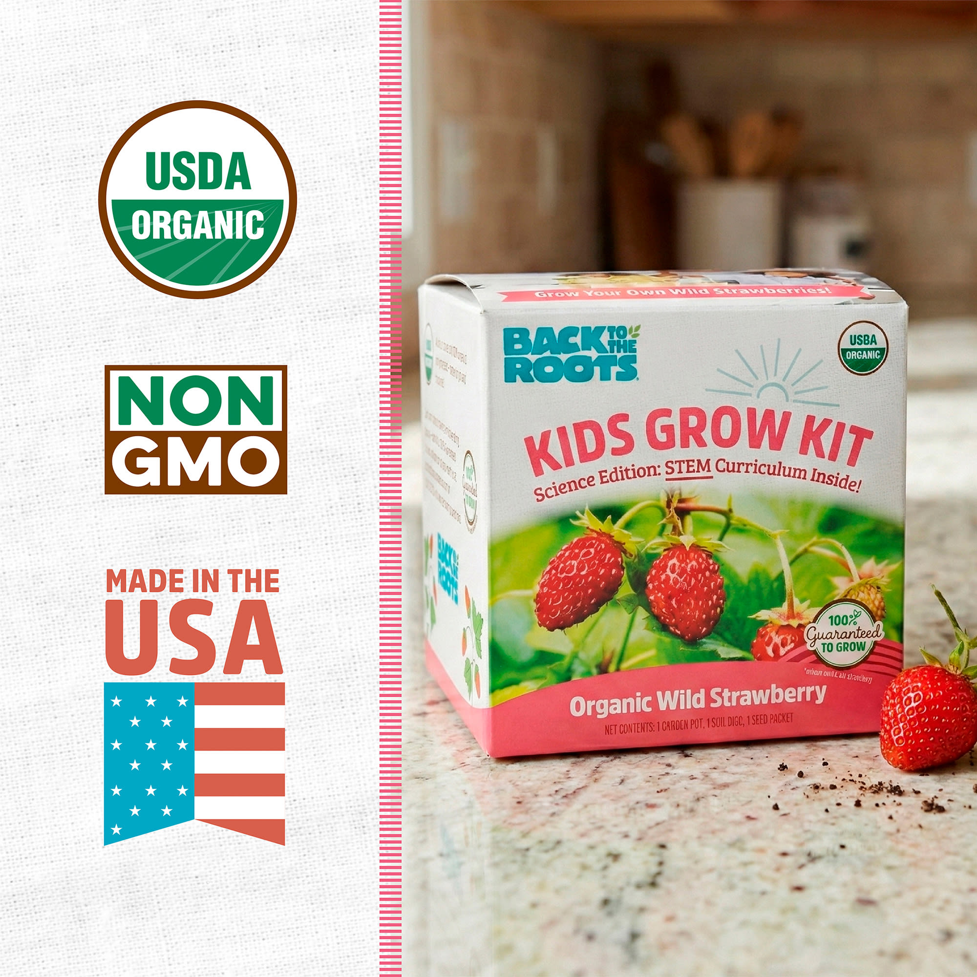 Back to the Roots Kids Organic Wild Straberry Grow Kit, Small | Petco