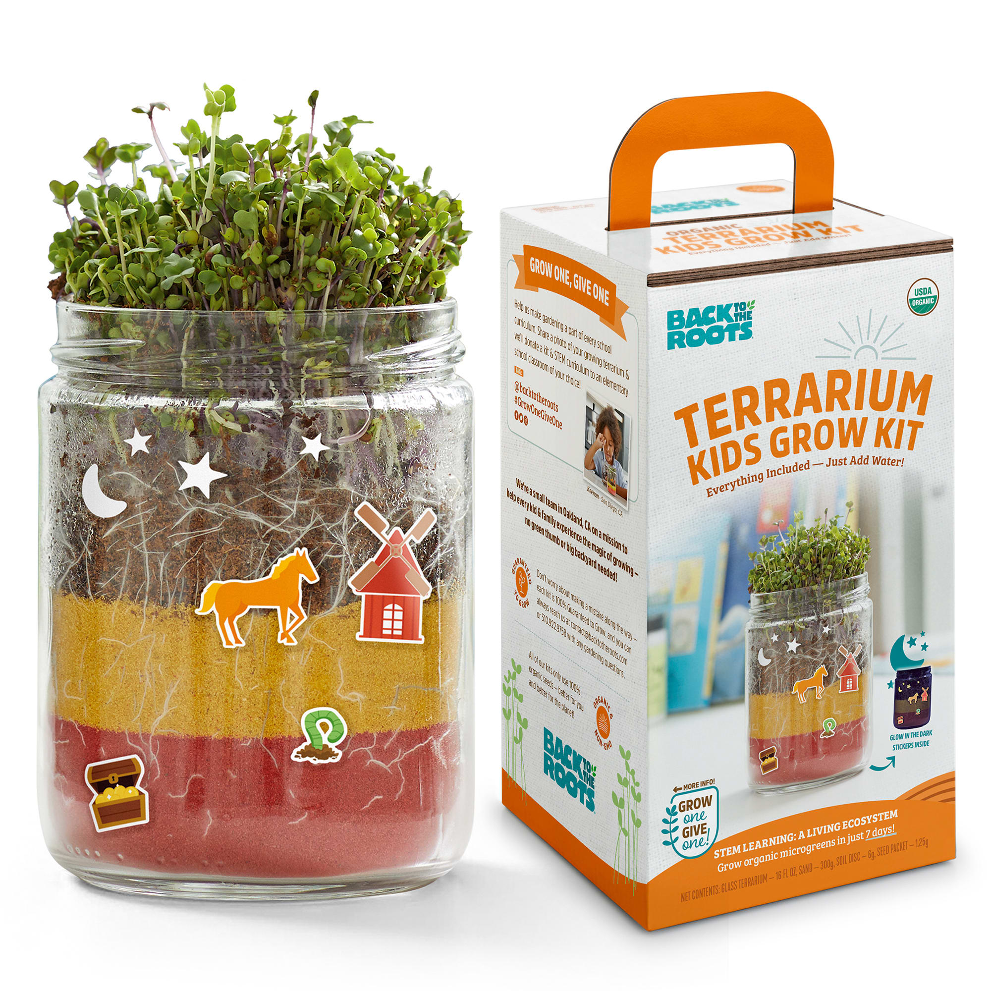 Back to the Roots Organic Terrarium Kids Grow Kit, Small | Petco