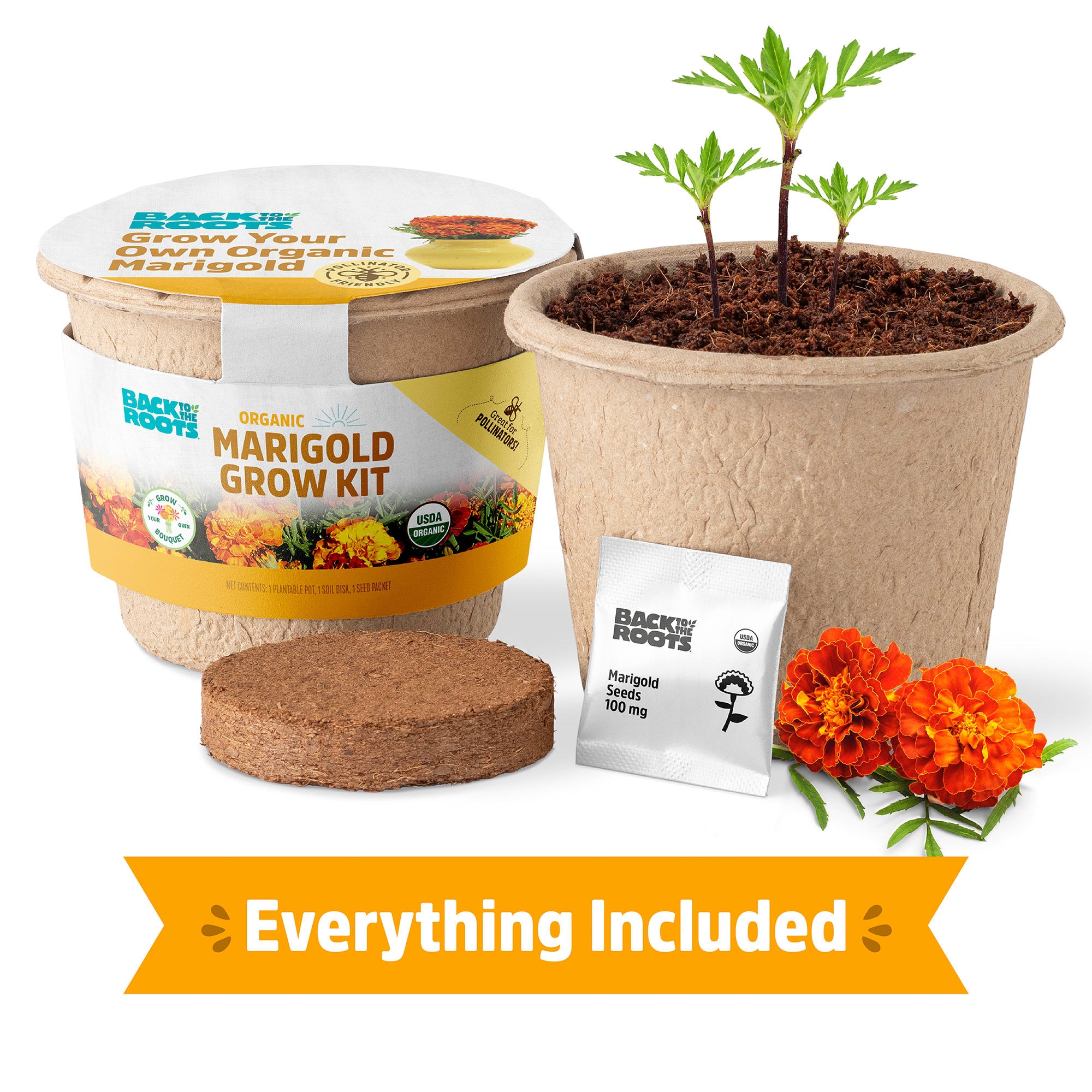 Back to the Roots Organic Marigold Flower Grow Kit, Small | Petco