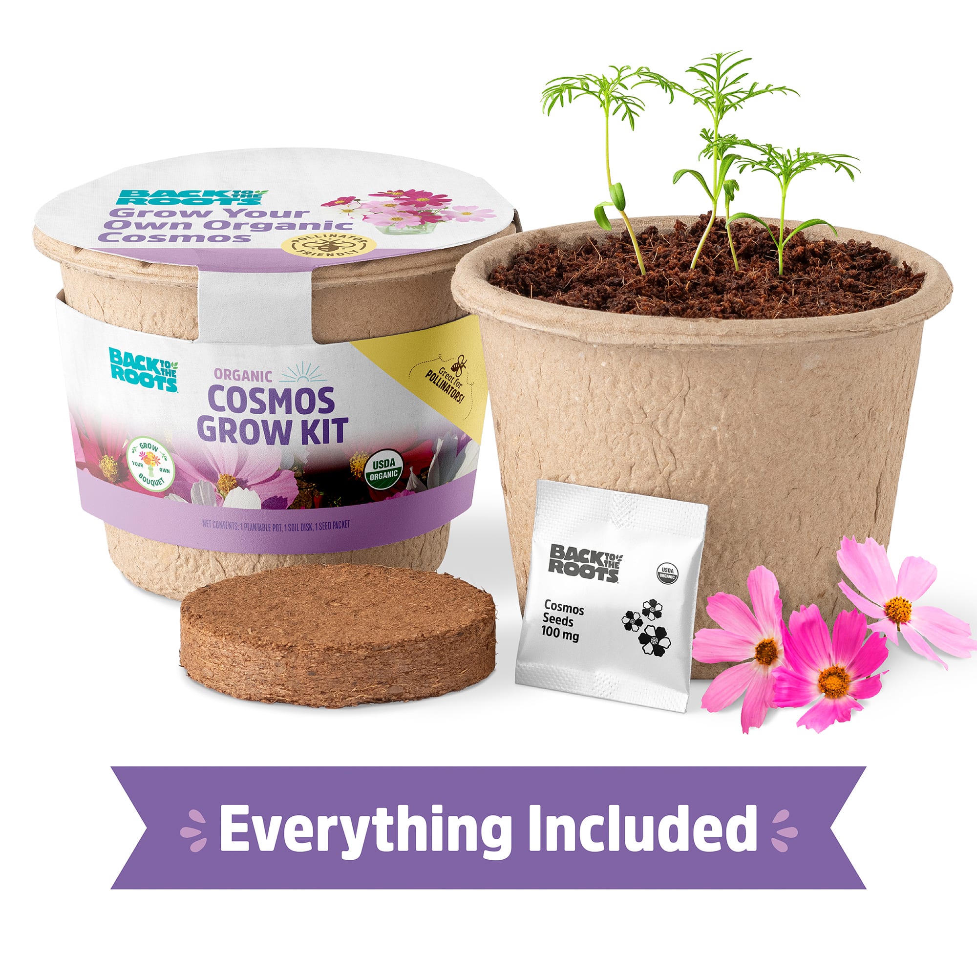 Back to the Roots Organic Cosmos Flower Grow Kit, Small | Petco