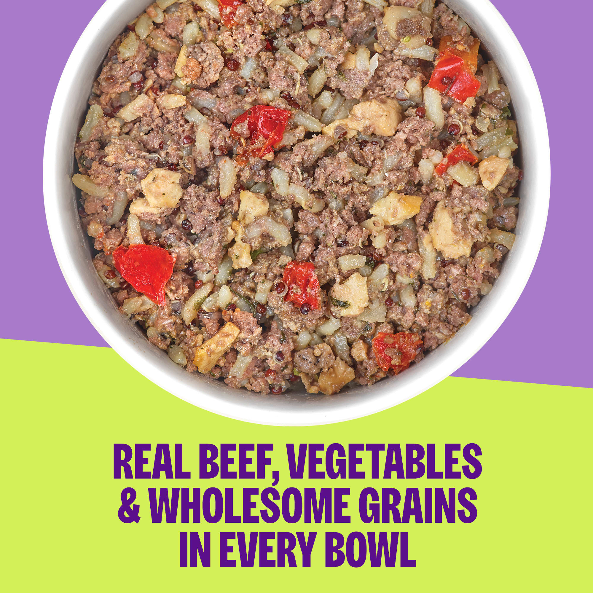 Best Premium Dog Food 2026: According to Customer Reviews | Petco