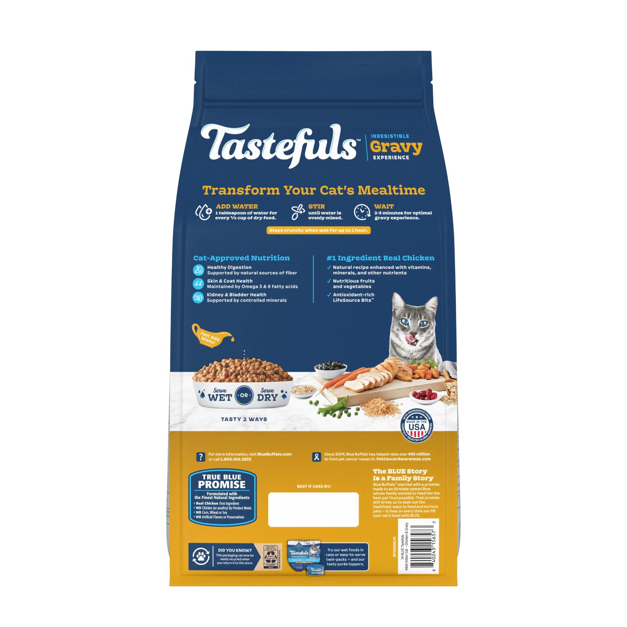 anti vomit cat food bowl Elevated Shallow Ceramic Cat Bowl  Whisker Friendly, Anti-Vomiting