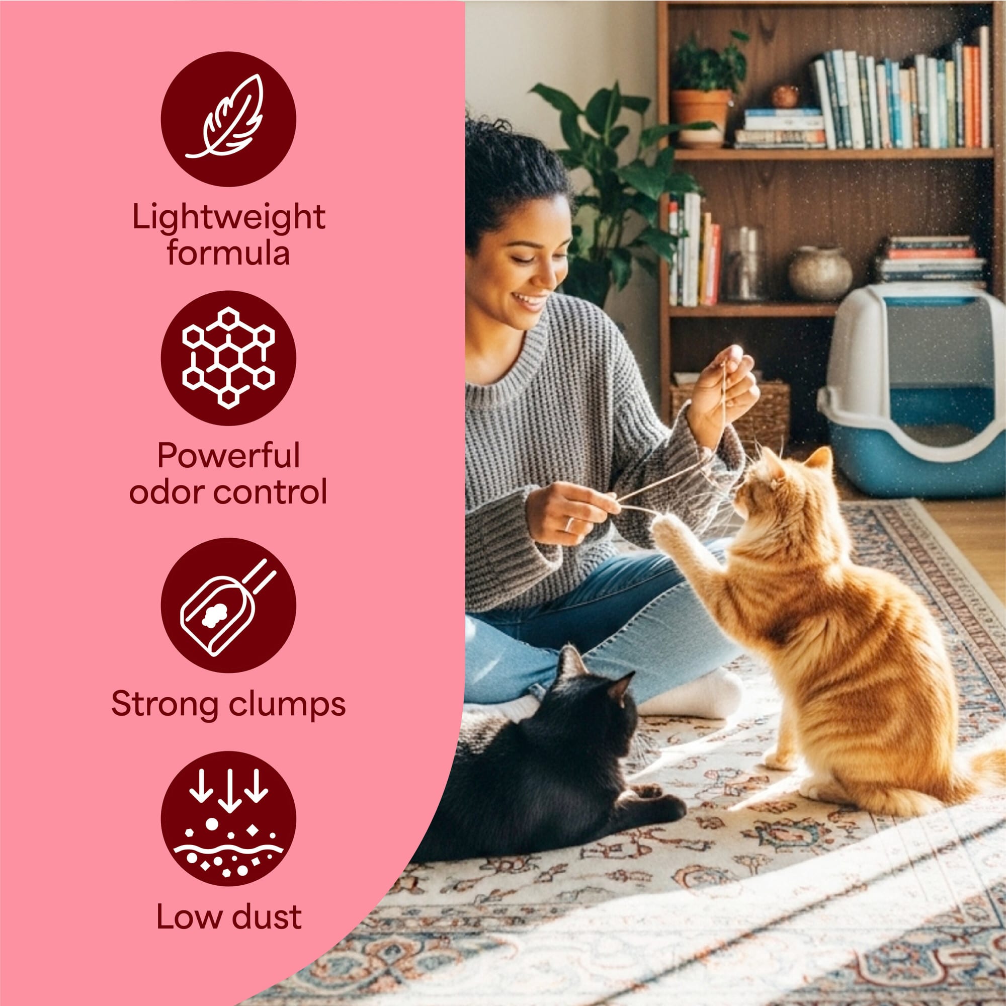 Best Dust Free Cat Litters 2026: According to Customer Reviews | Petco