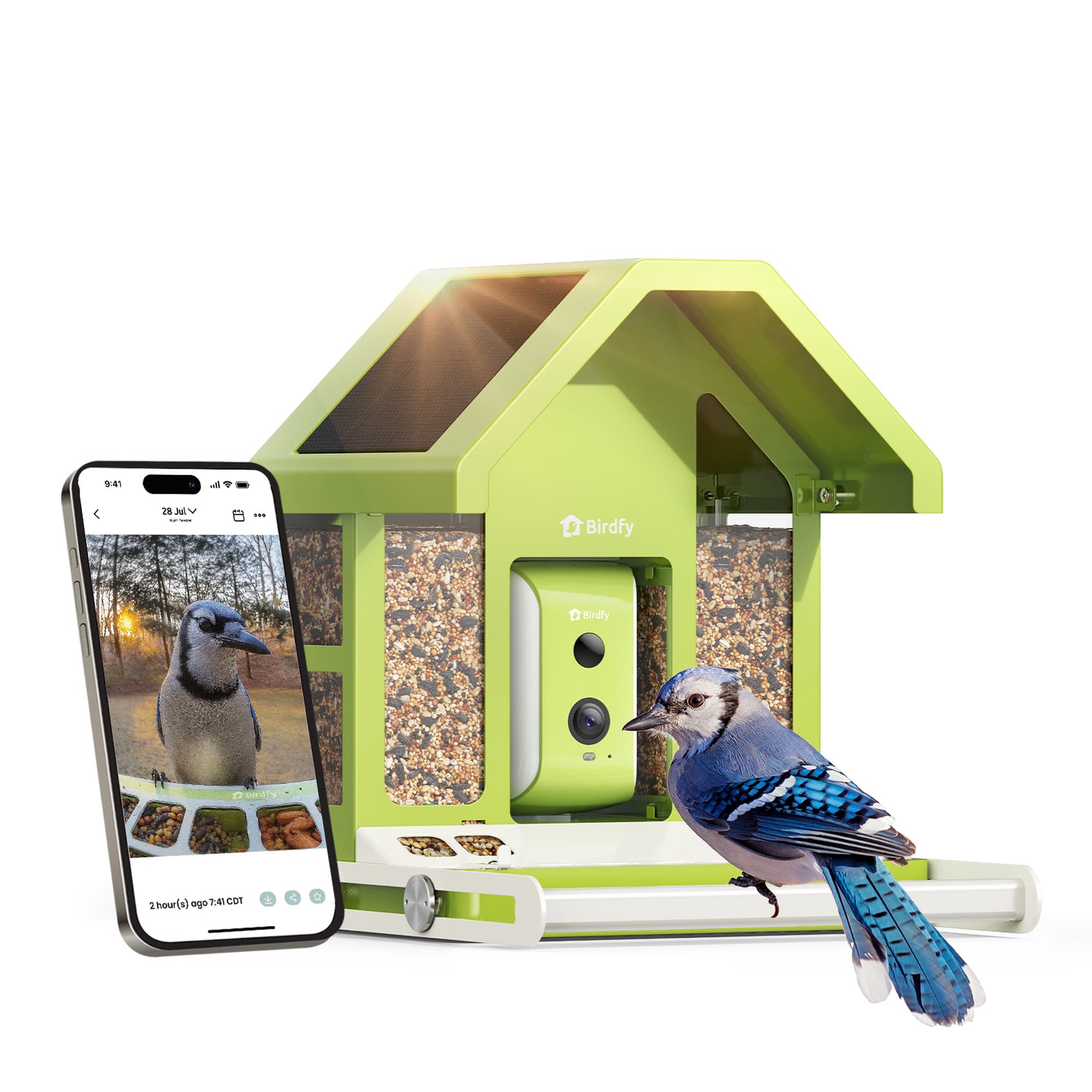 Birdfy Metal Bird Feeder with Camera Squirrel Proof, Solar Powered