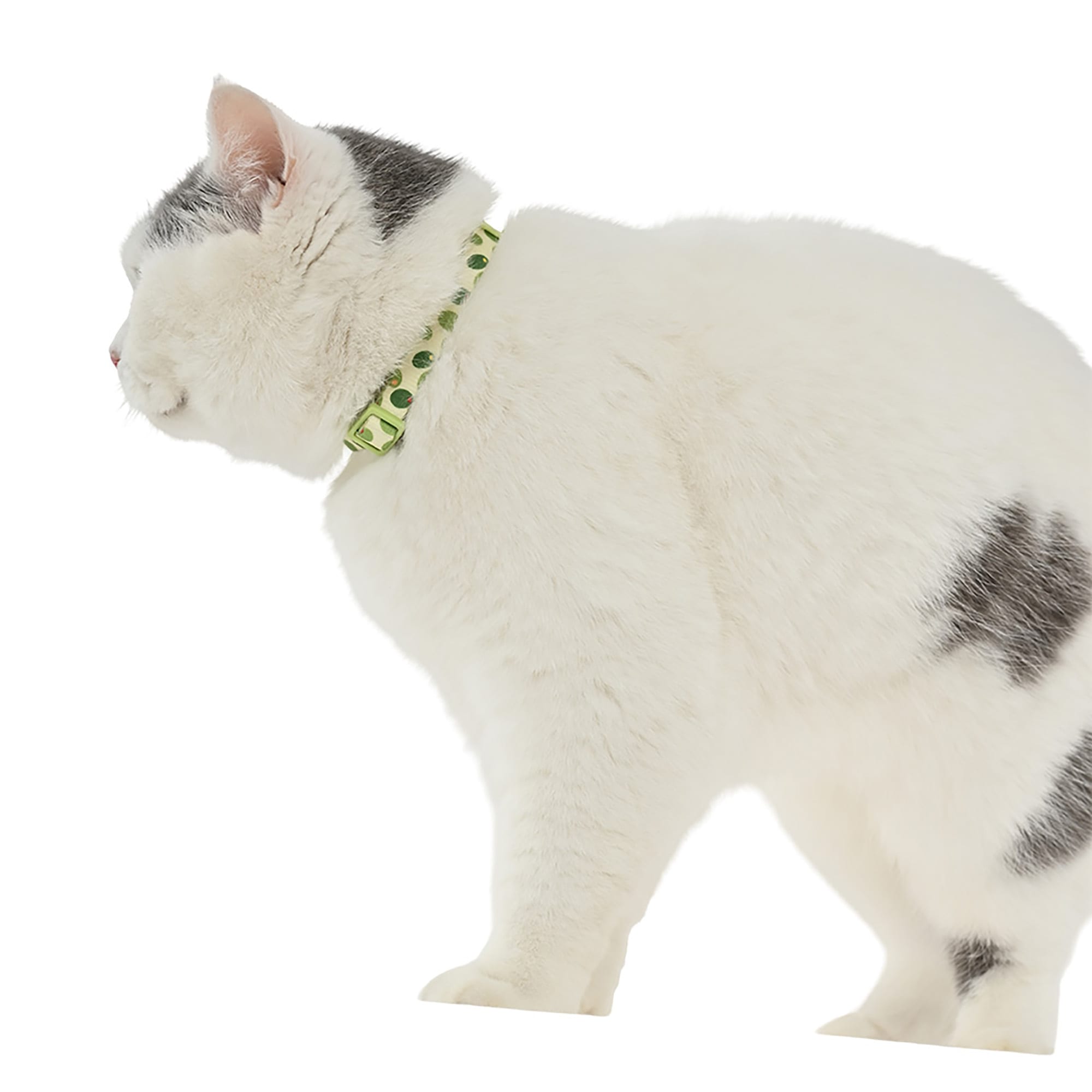 Max & Marlow Olive Martini with Buckle Cat Collar, Green, Medium 