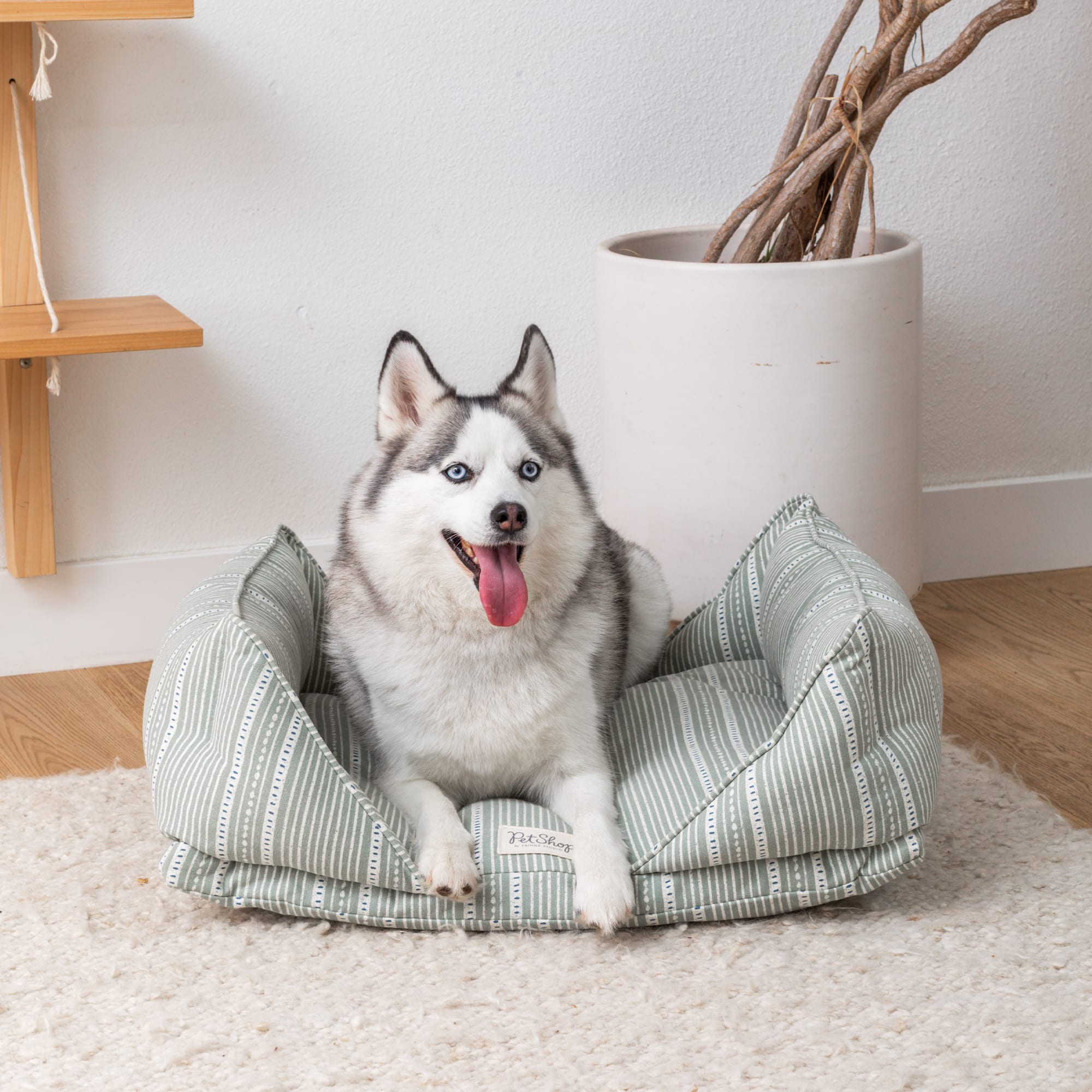 PetShop by Fringe Studio Block Stripe Dusty Sage Canvas Modern