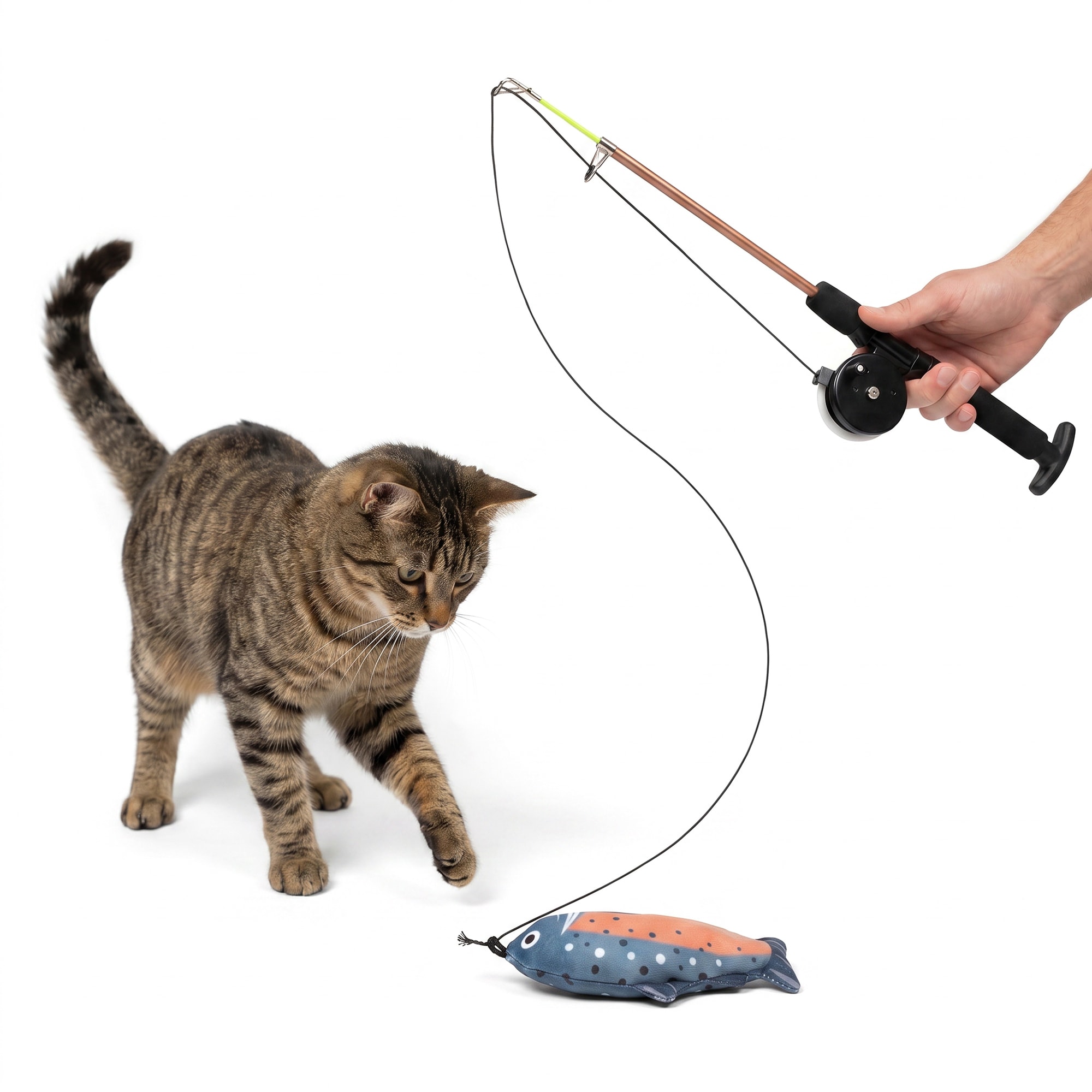 cat playing with fishing pole by himself AGGER Casting Toy, Cat Casting Toy Set, Interactive Toy for Cats, Tangle-Free Design, Cat Toy for Indoor Outdoor Cats : Everything Else Fish for Kitties With This