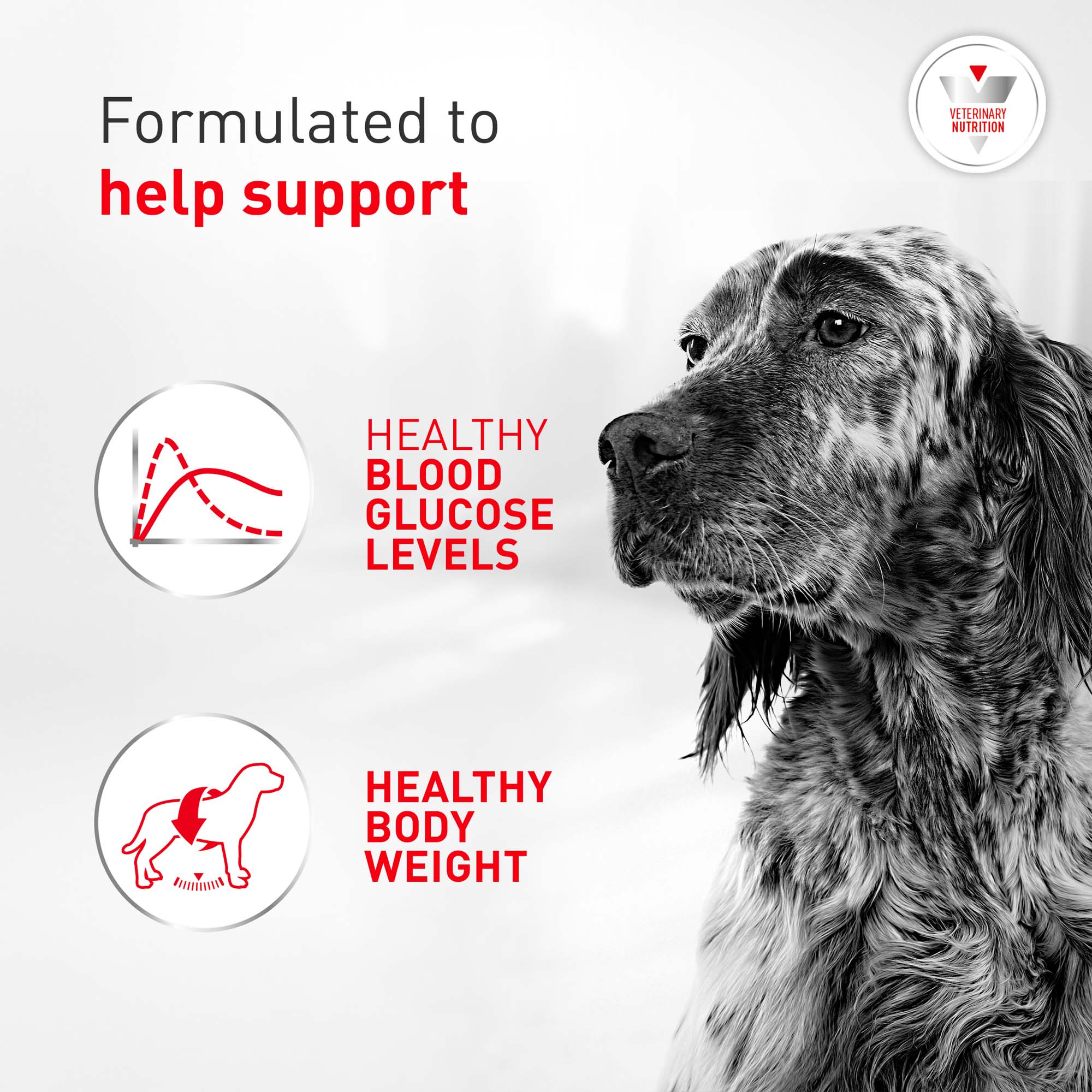 Royal Canin Veterinary Diet Glycobalance Dry Dog Food for Diabetic Adult  Dogs, 6.6 lbs. | Petco