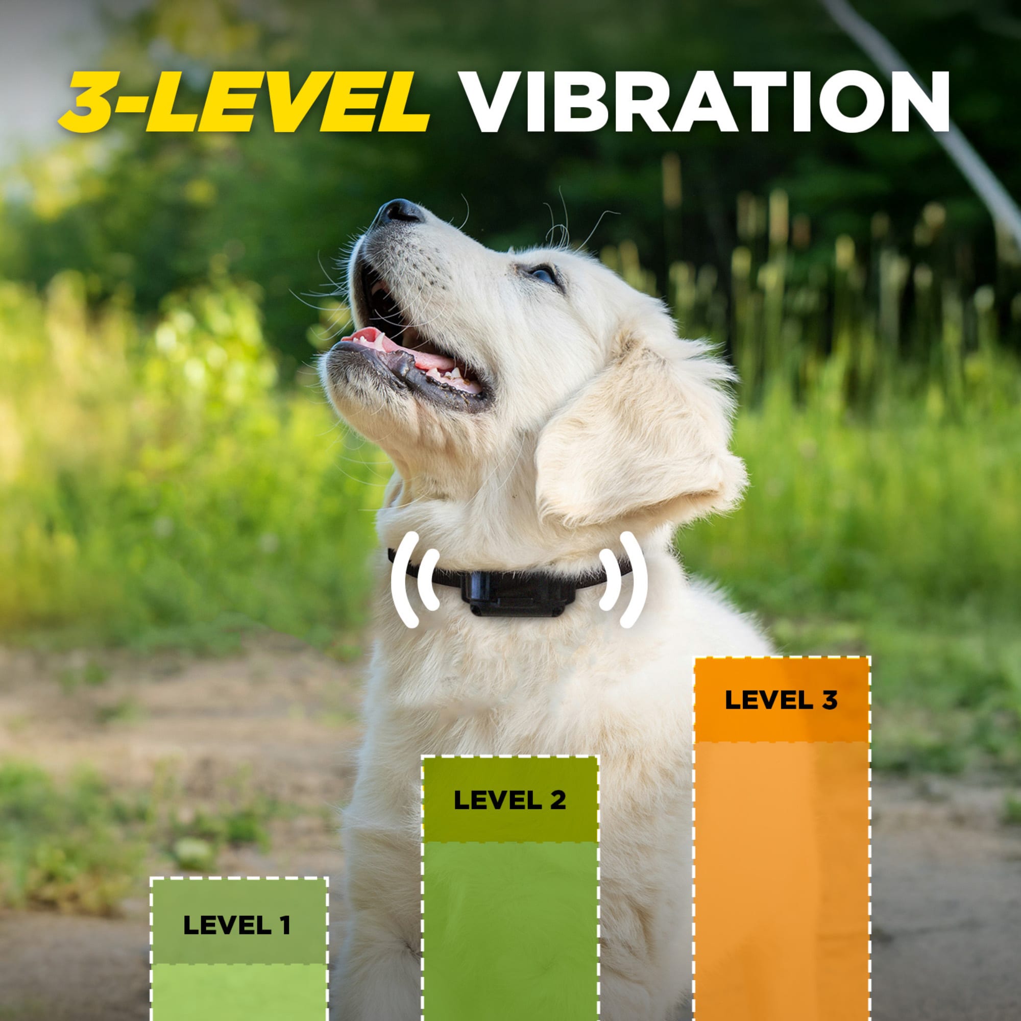 Dogtra iQ VIBE for Dogs, Black, Small/Medium | Petco